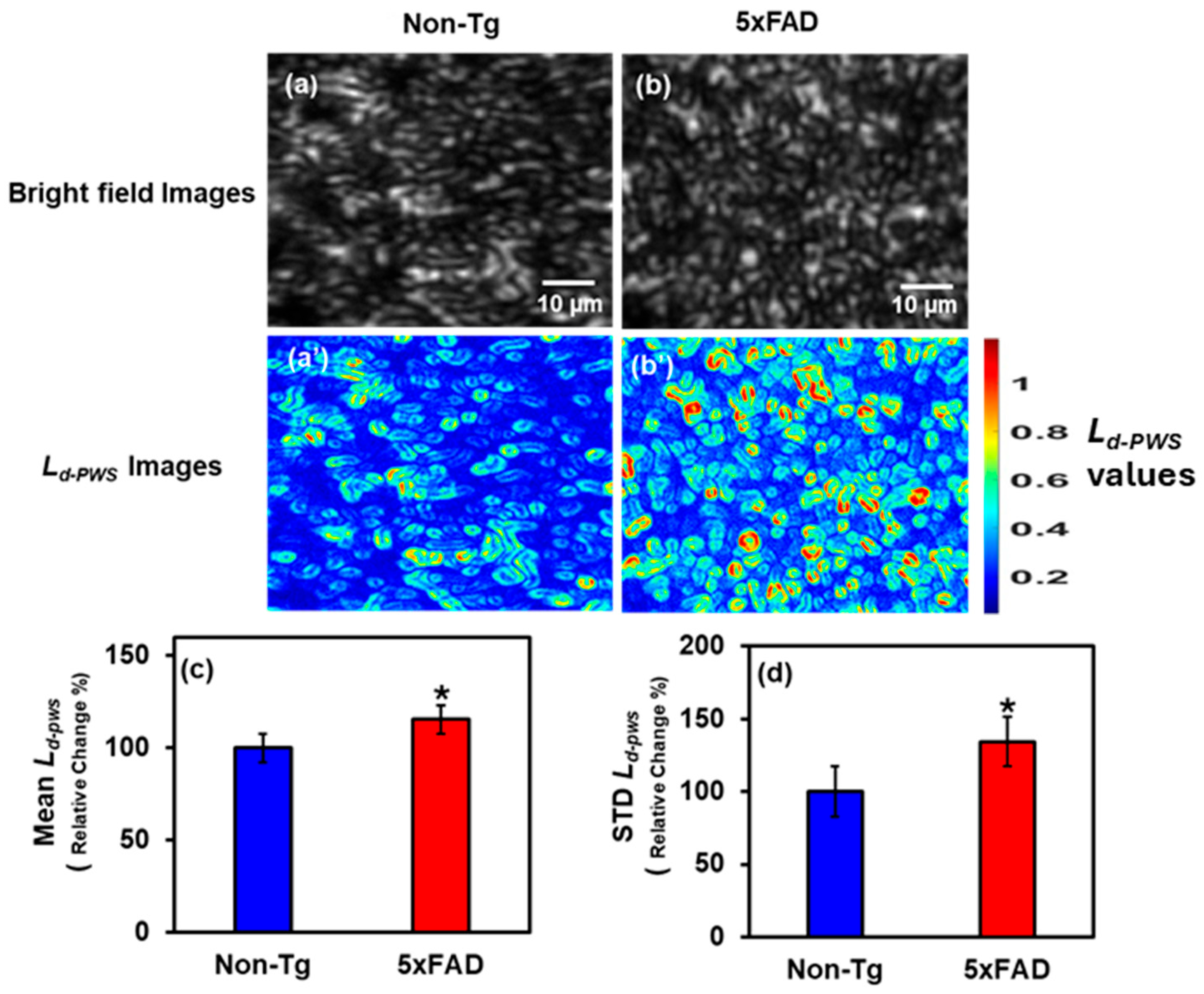 Ijms 27 00198 g001 Ijms 27 00198 g001