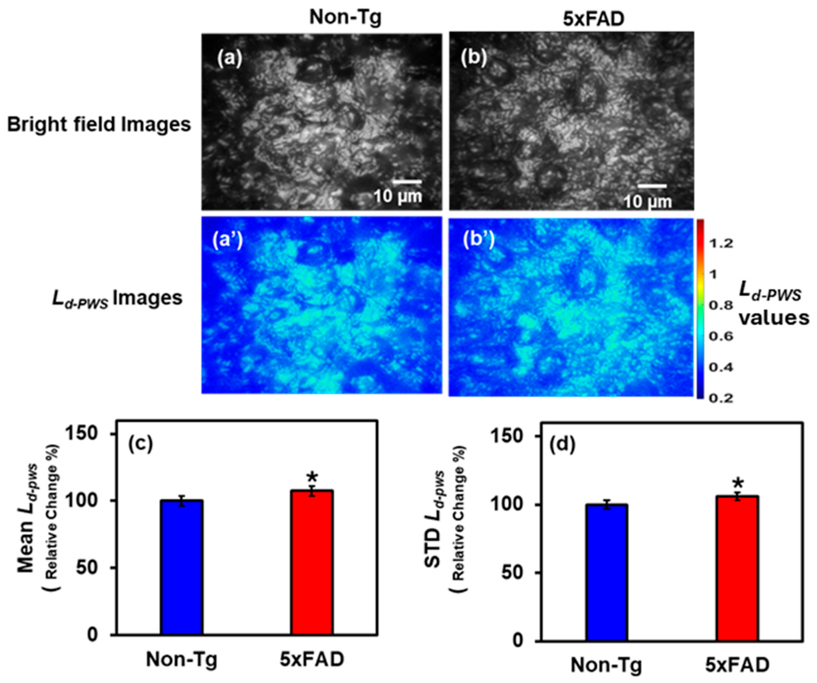 Ijms 27 00198 g002 Ijms 27 00198 g002