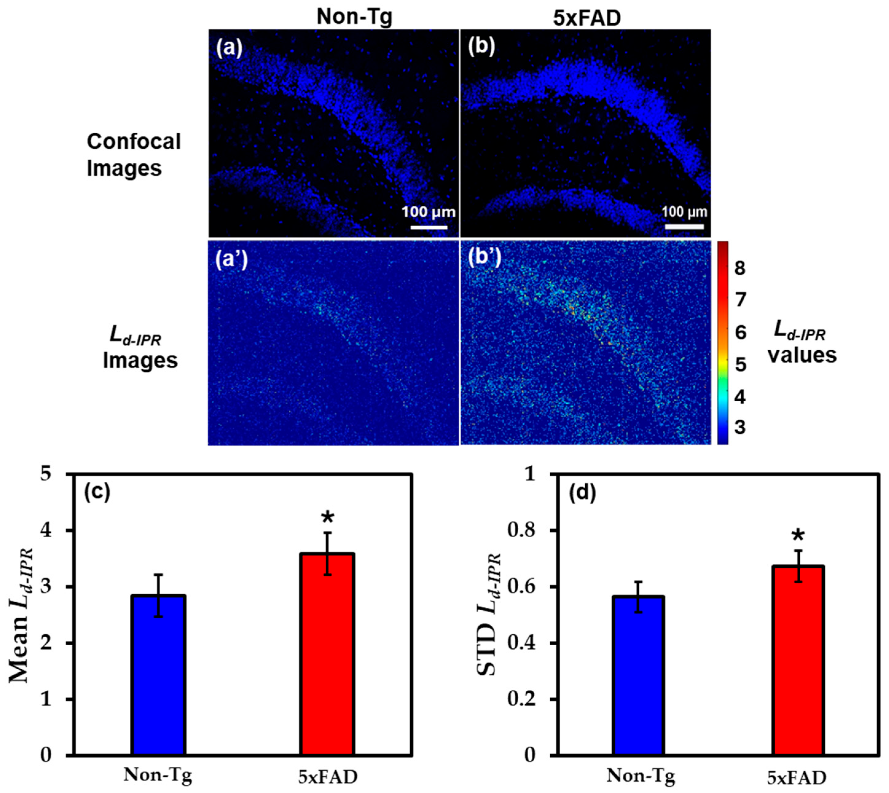 Ijms 27 00198 g004 Ijms 27 00198 g004