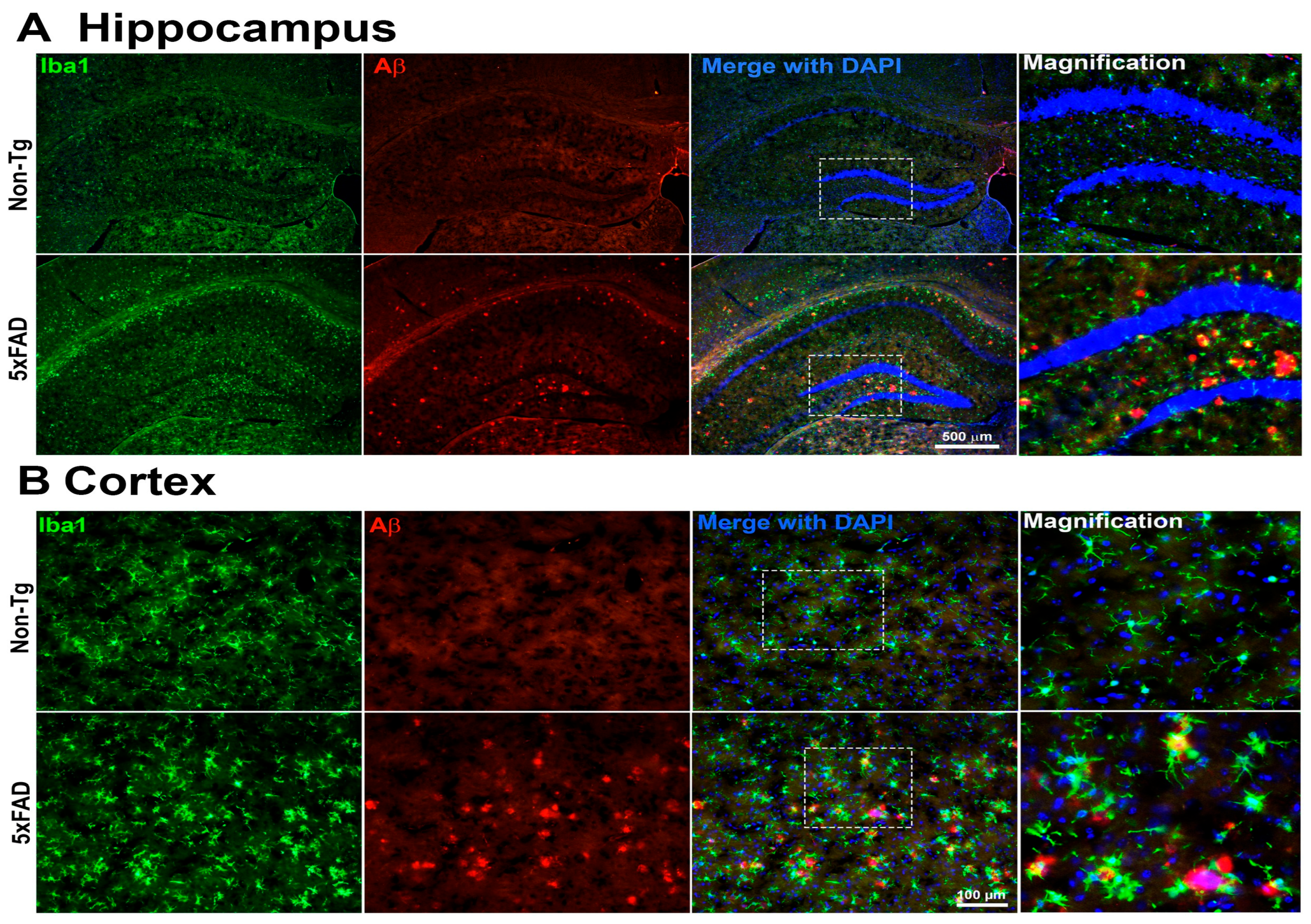 Ijms 27 00198 g007 Ijms 27 00198 g007