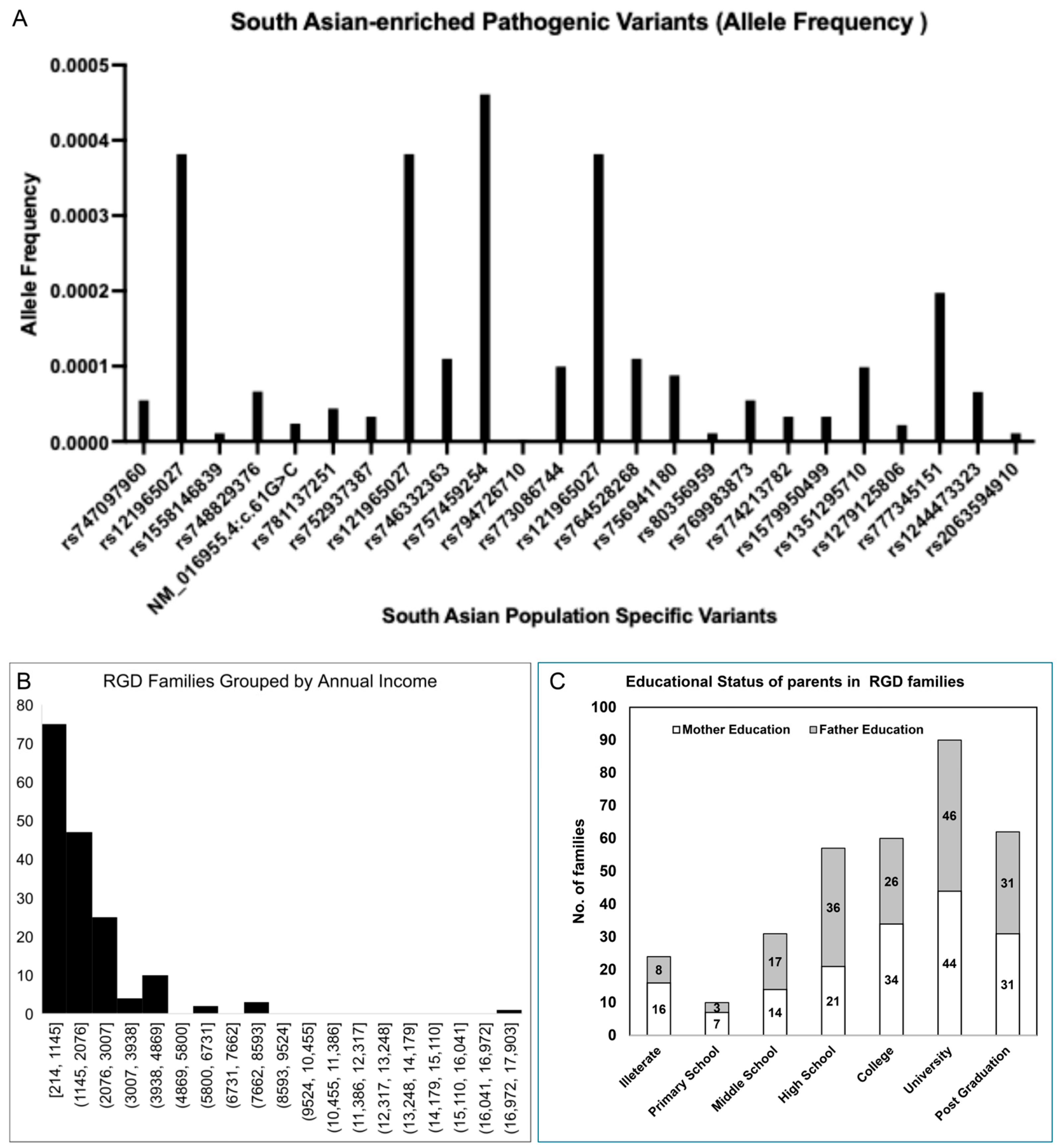 Ijms 27 00206 g006 Ijms 27 00206 g006