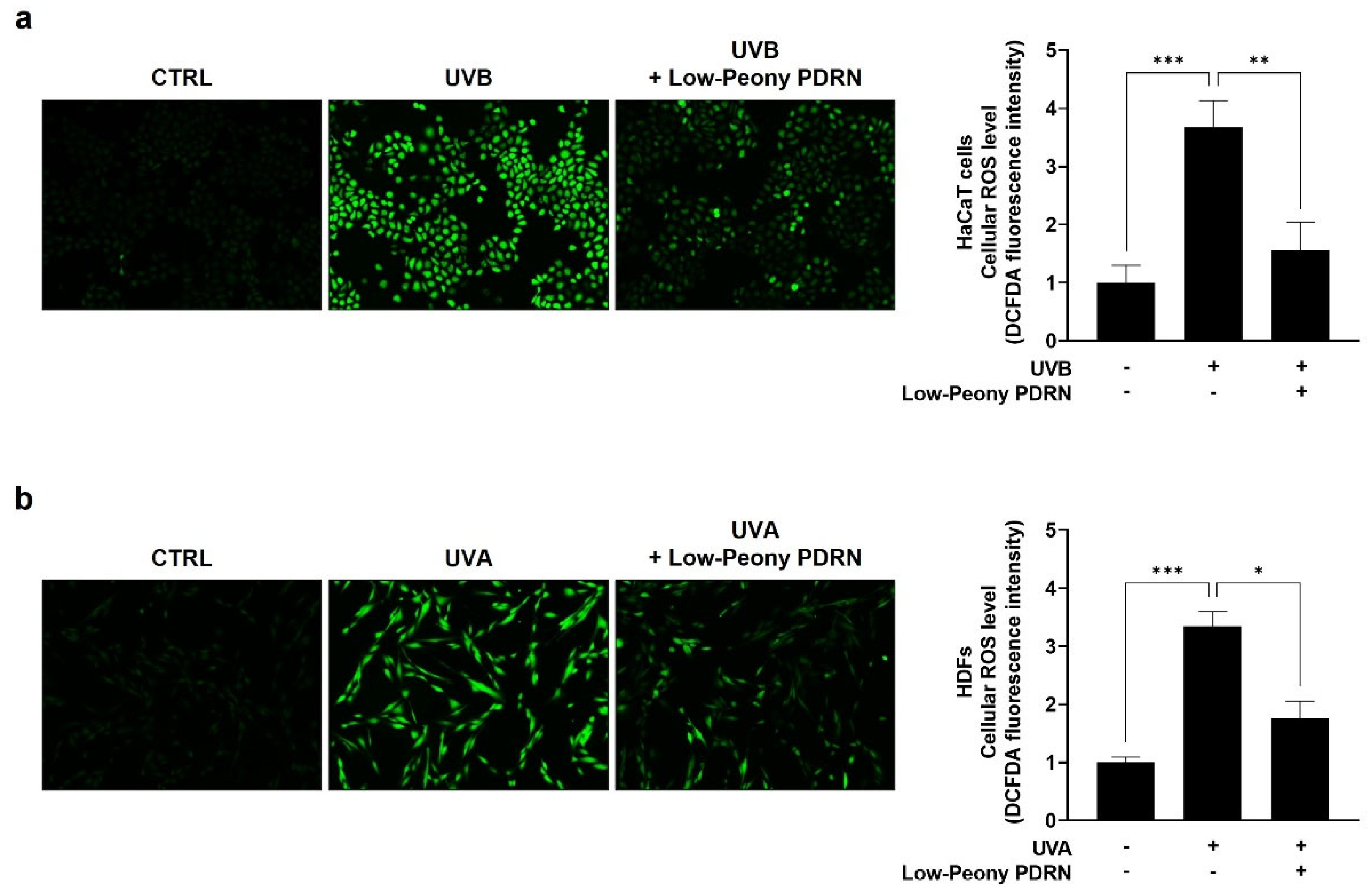 Ijms 27 00220 g006 Ijms 27 00220 g006