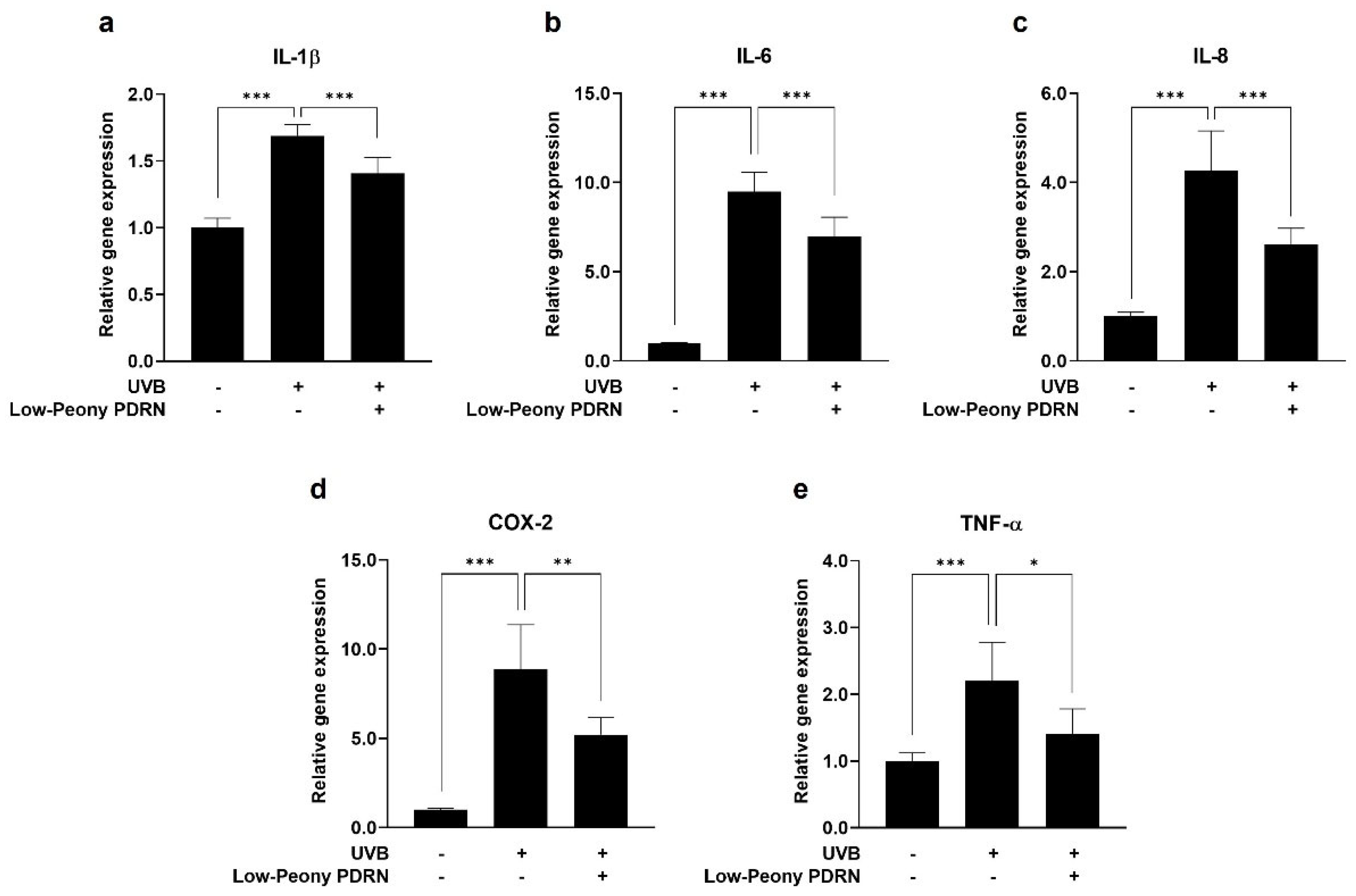 Ijms 27 00220 g007 Ijms 27 00220 g007