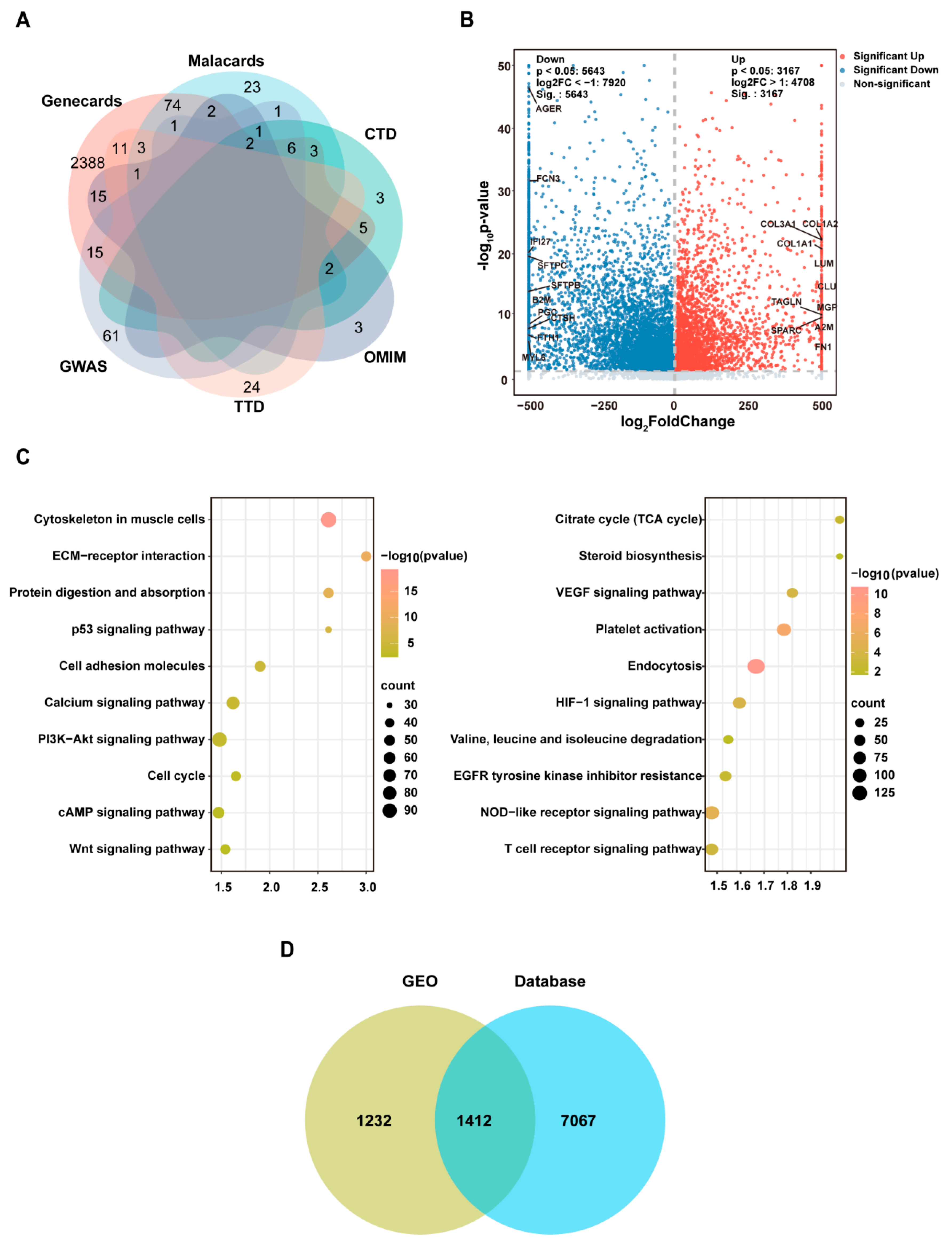 Integrating Network Pharmacology, Machine Learning, and Experimental ...