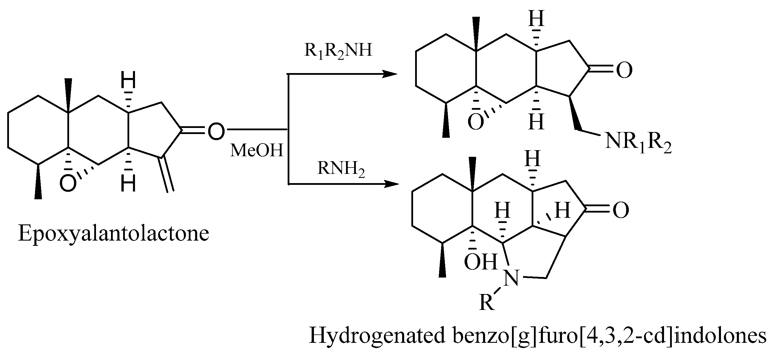 Ijms 27 00329 sch002