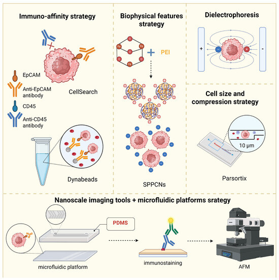 Circulating Tumor Cells for the Monitoring of Lung Cancer Therapies