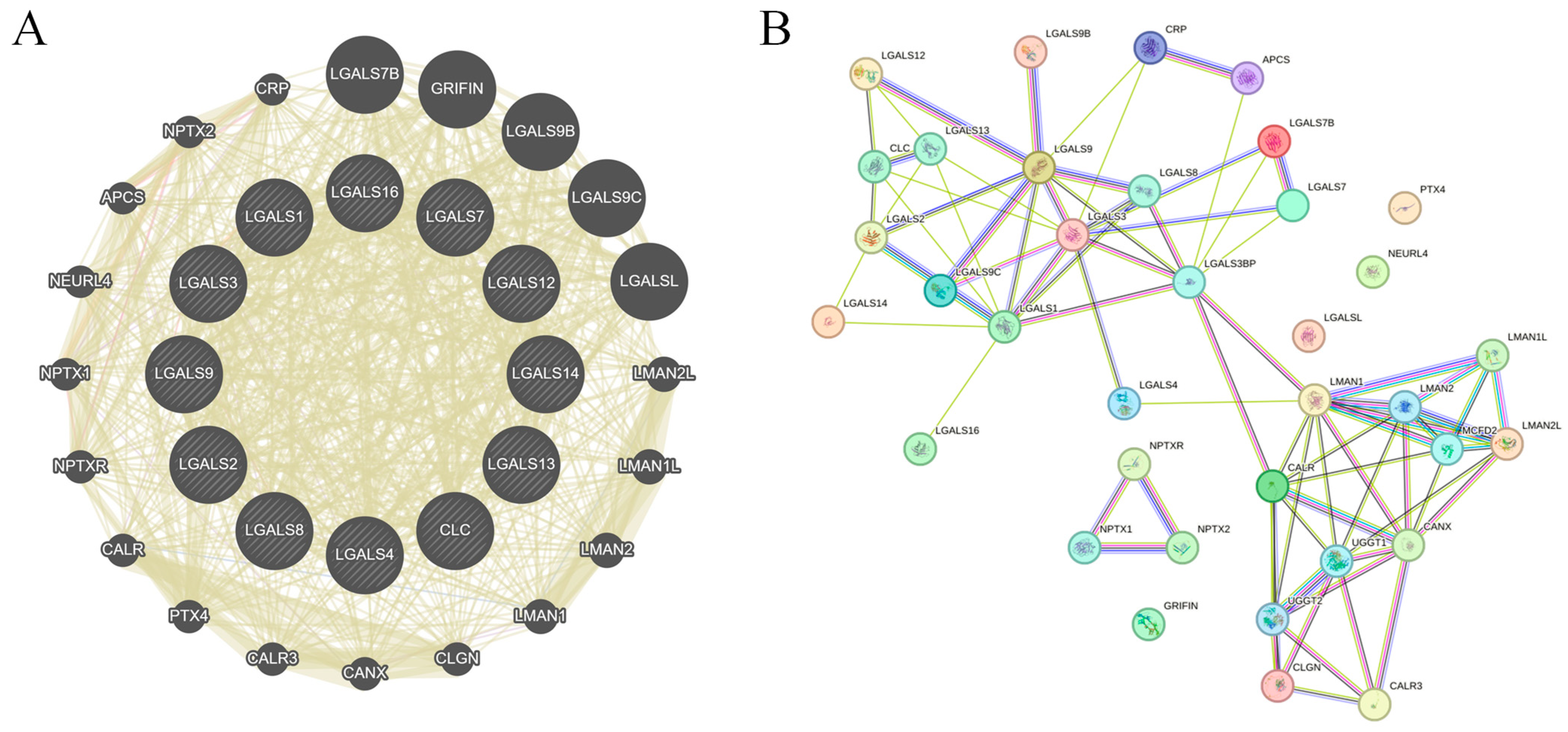 Ijms 27 00417 g006 Ijms 27 00417 g006