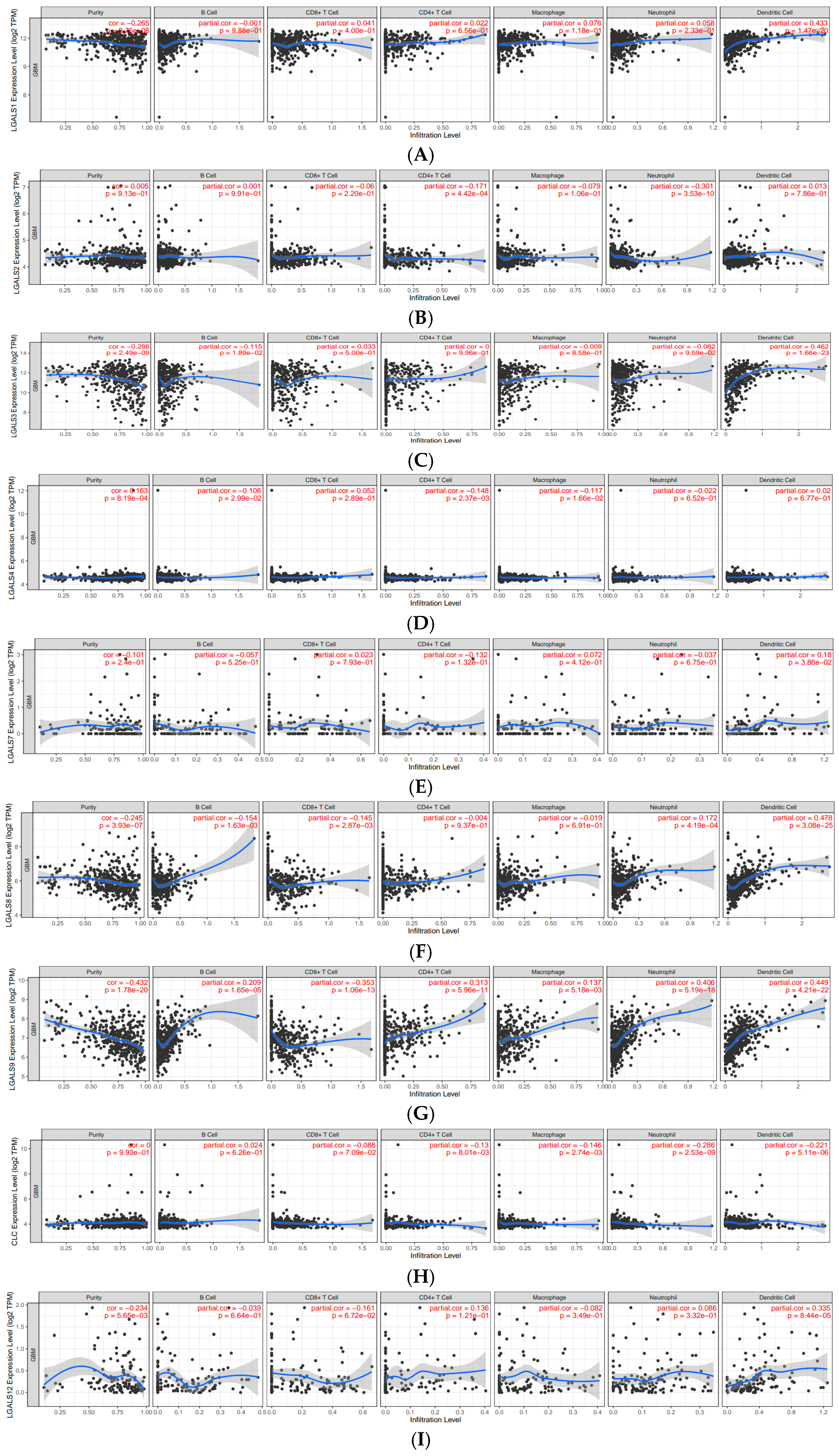 Ijms 27 00417 g007a Ijms 27 00417 g007a