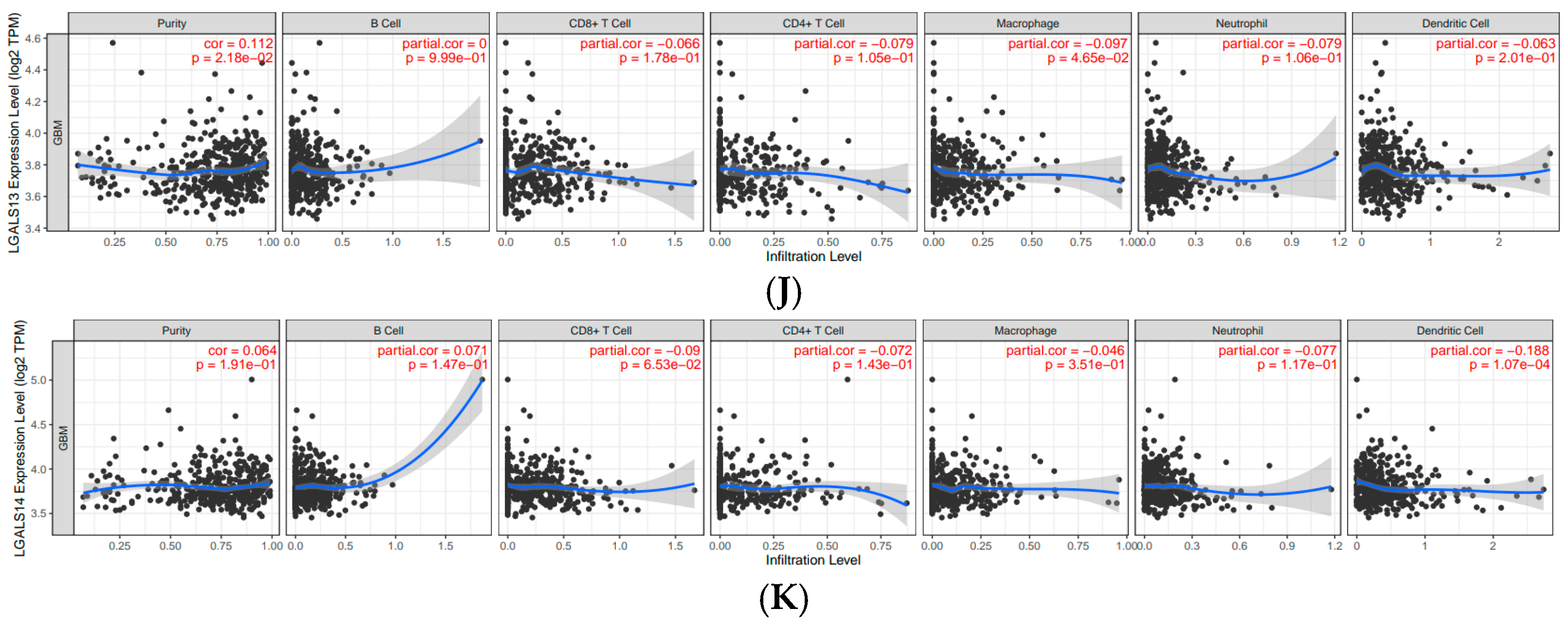 Ijms 27 00417 g007b Ijms 27 00417 g007b