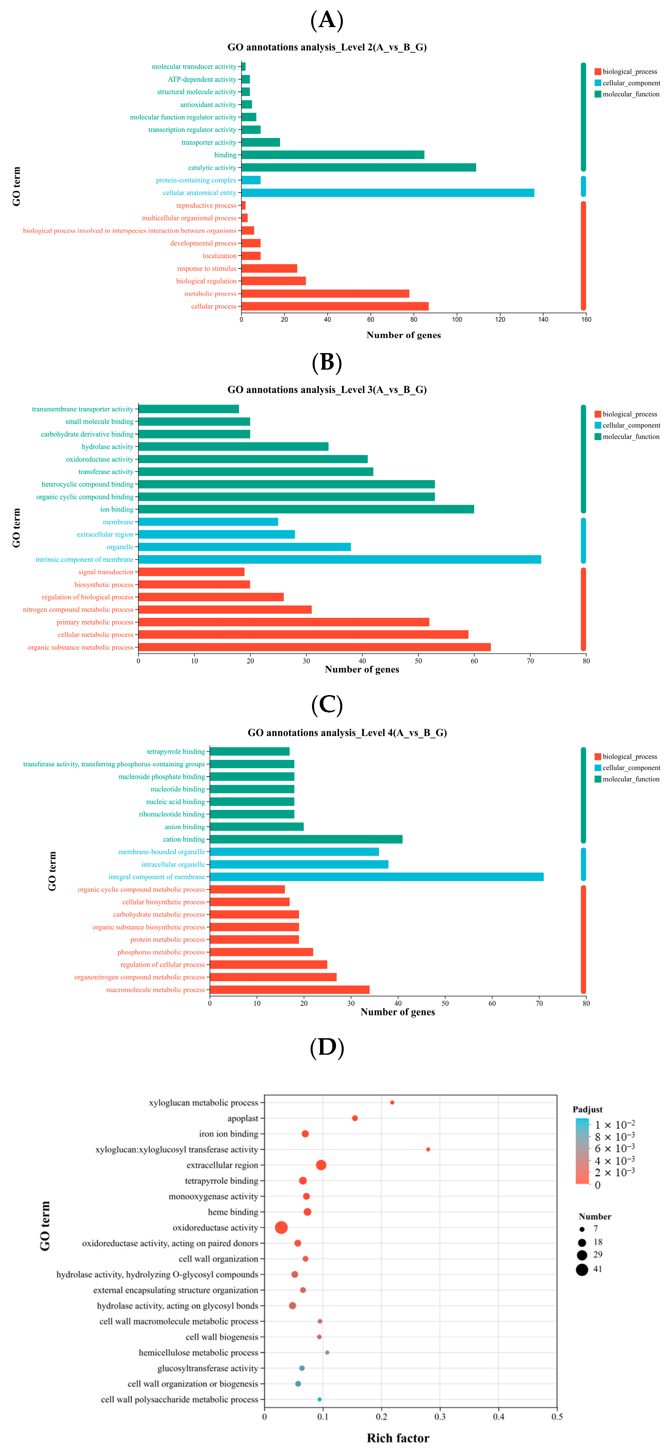 Ijms 27 00429 g003 Ijms 27 00429 g003