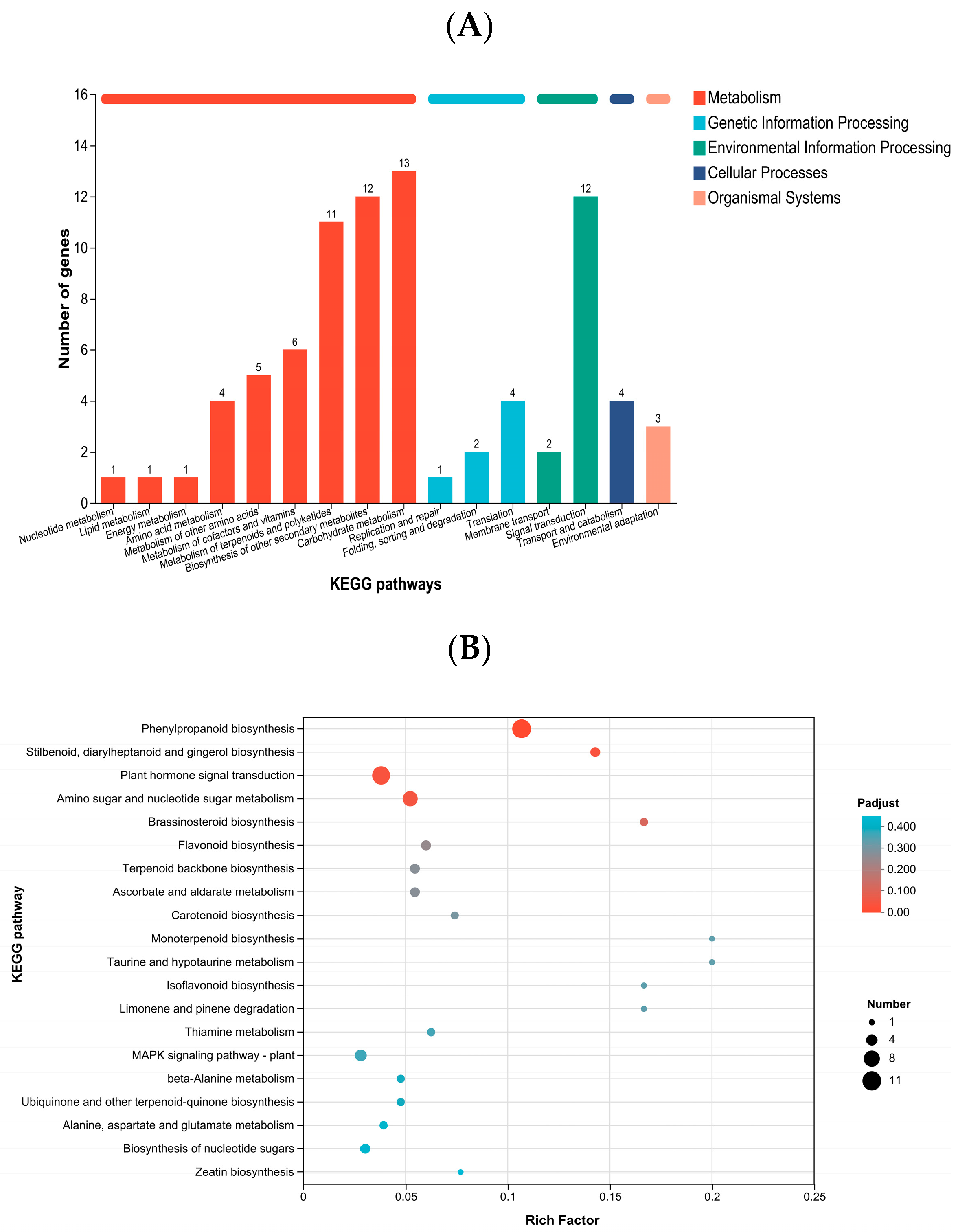 Ijms 27 00429 g004 Ijms 27 00429 g004