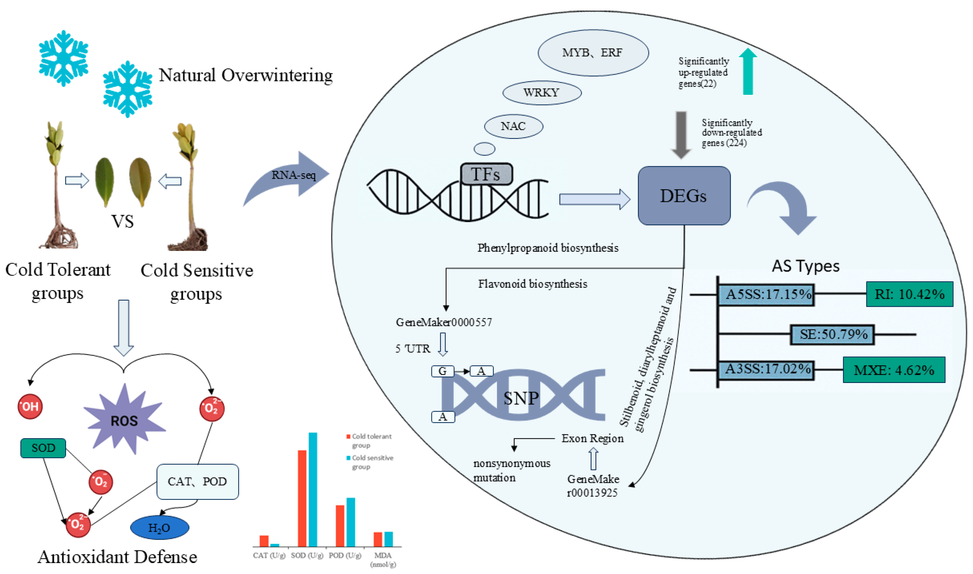 Ijms 27 00429 g011 Ijms 27 00429 g011