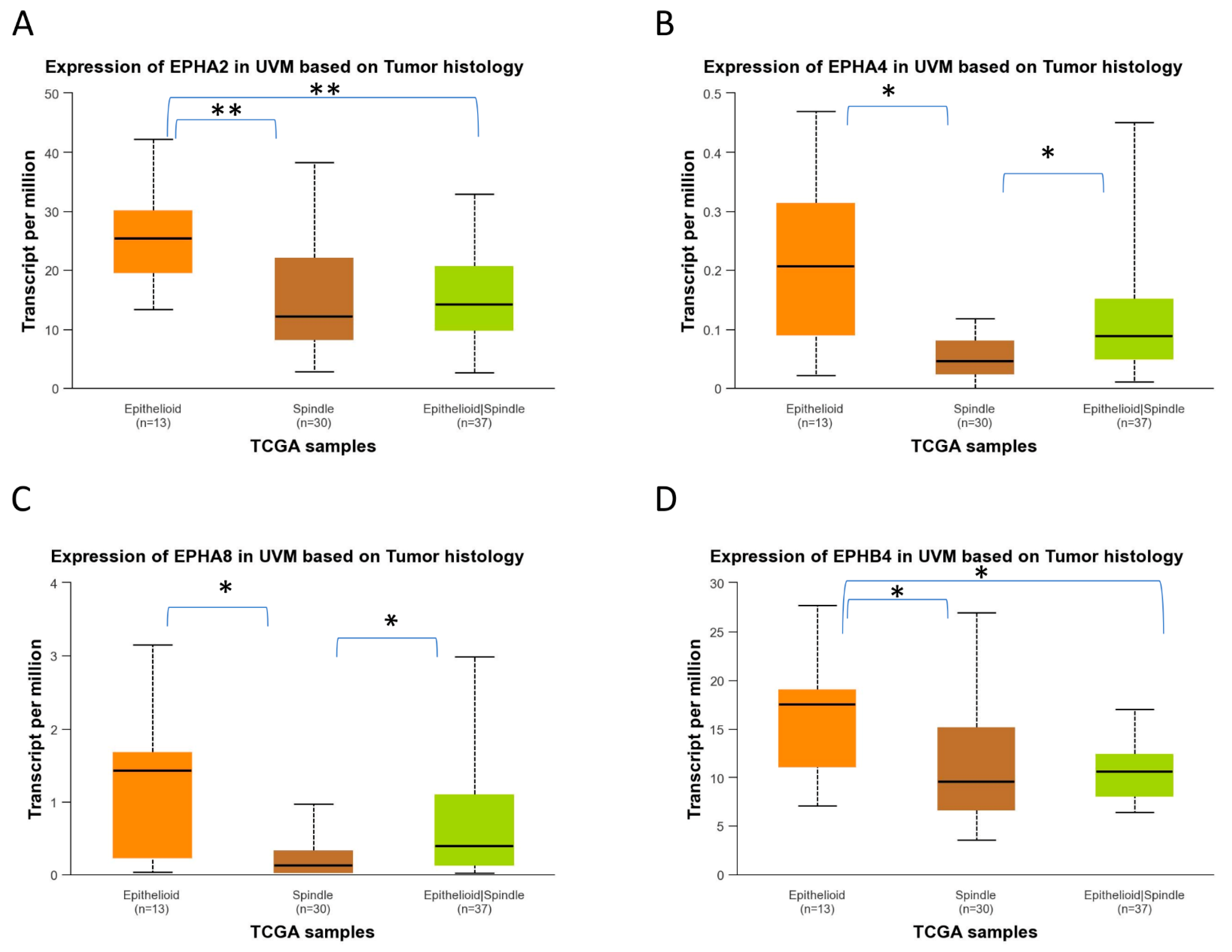 Ijms 27 00442 g008 Ijms 27 00442 g008