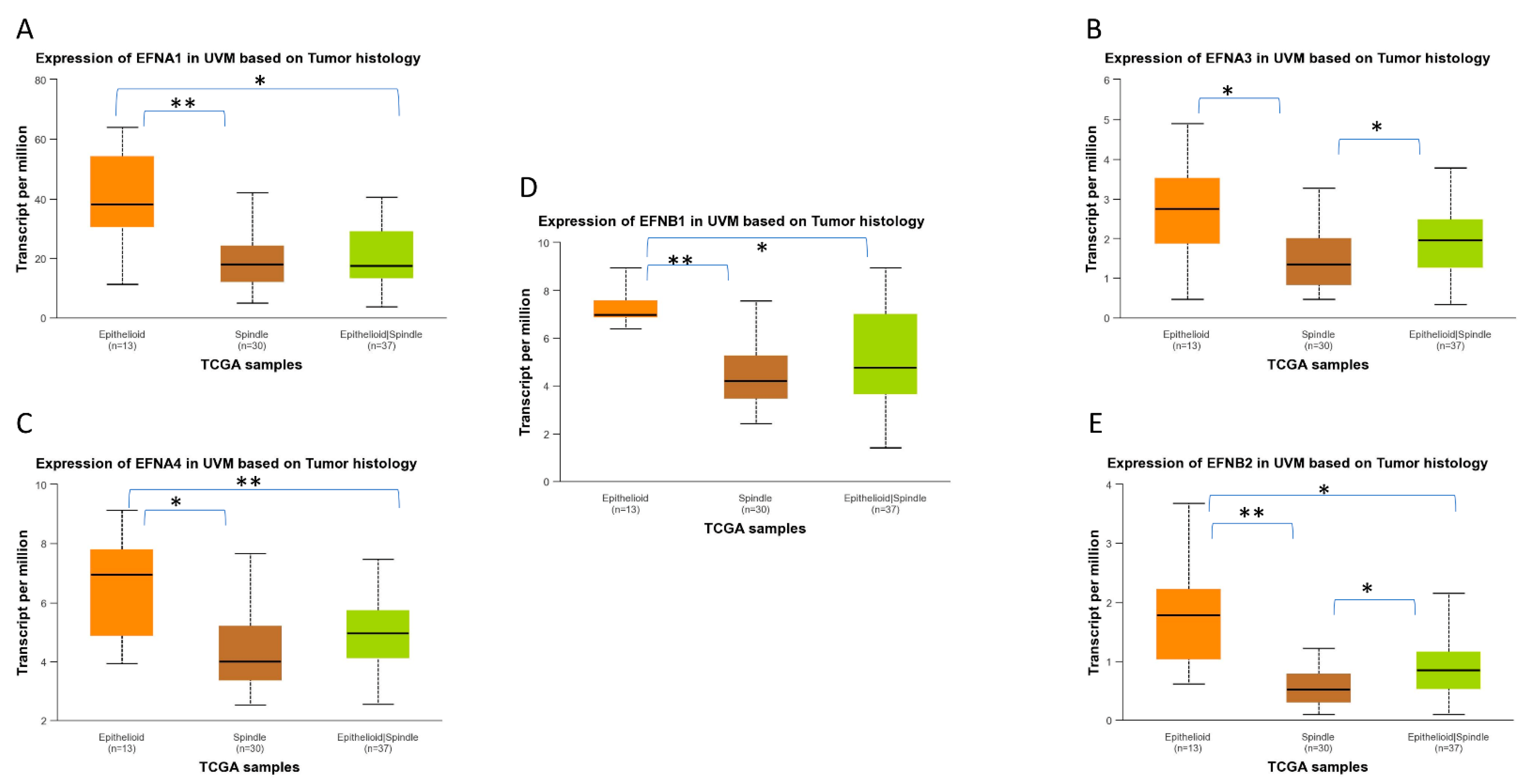 Ijms 27 00442 g009 Ijms 27 00442 g009