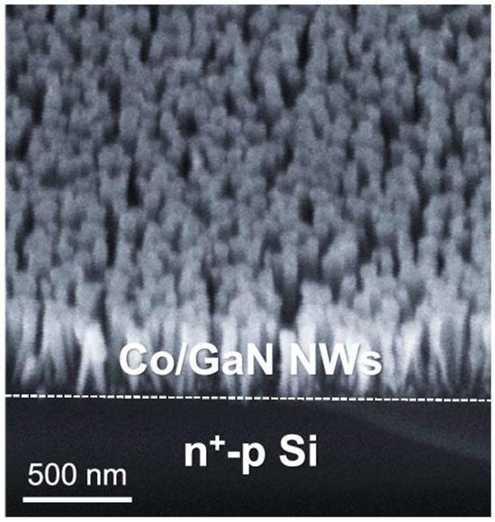 Recent Advances in Photoelectrochemical Nitrate Reduction to Ammonia