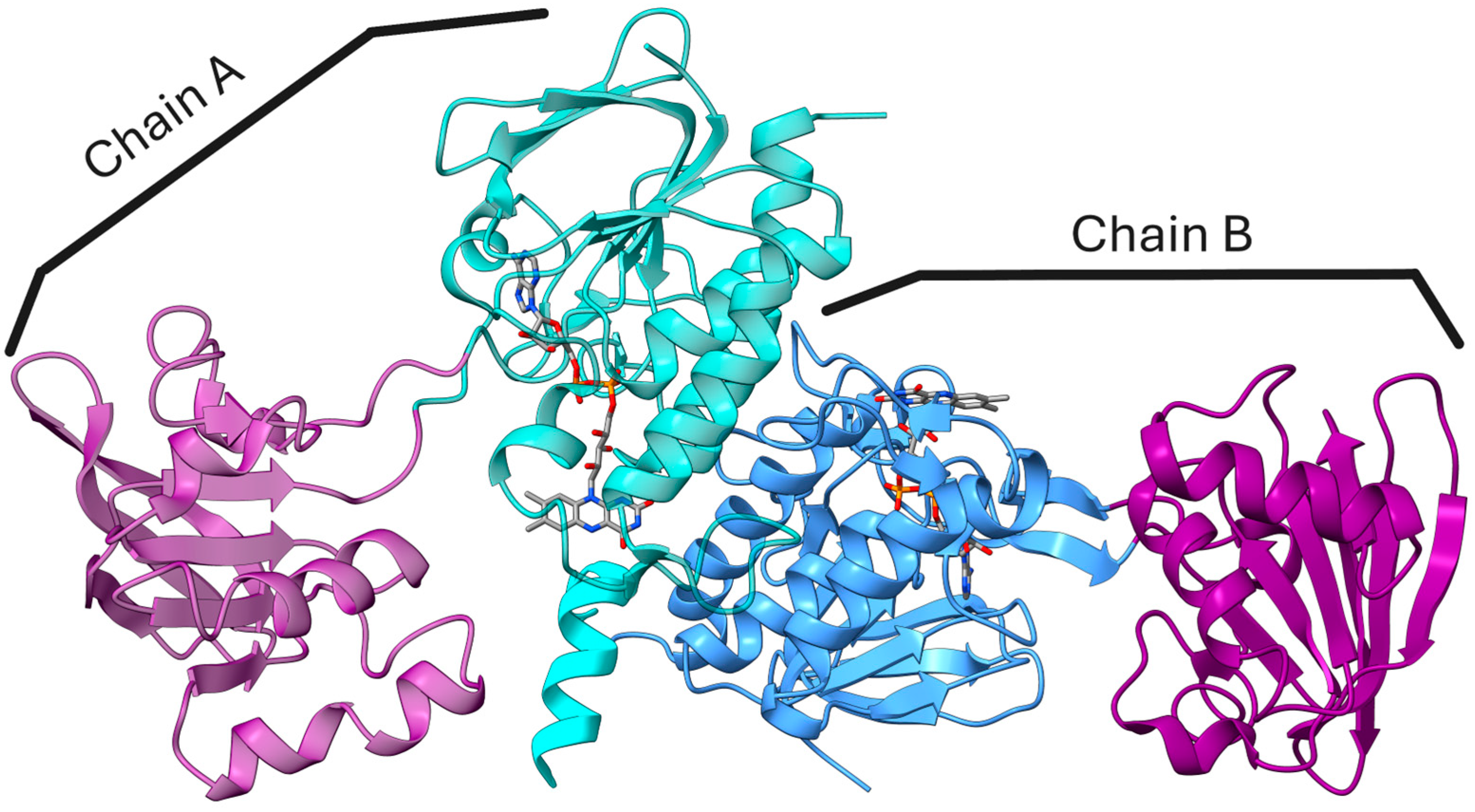 Kinetic and Potentiometric Characteristics of Ferredoxin: NADP+  Oxidoreductase from Chlorobaculum tepidum