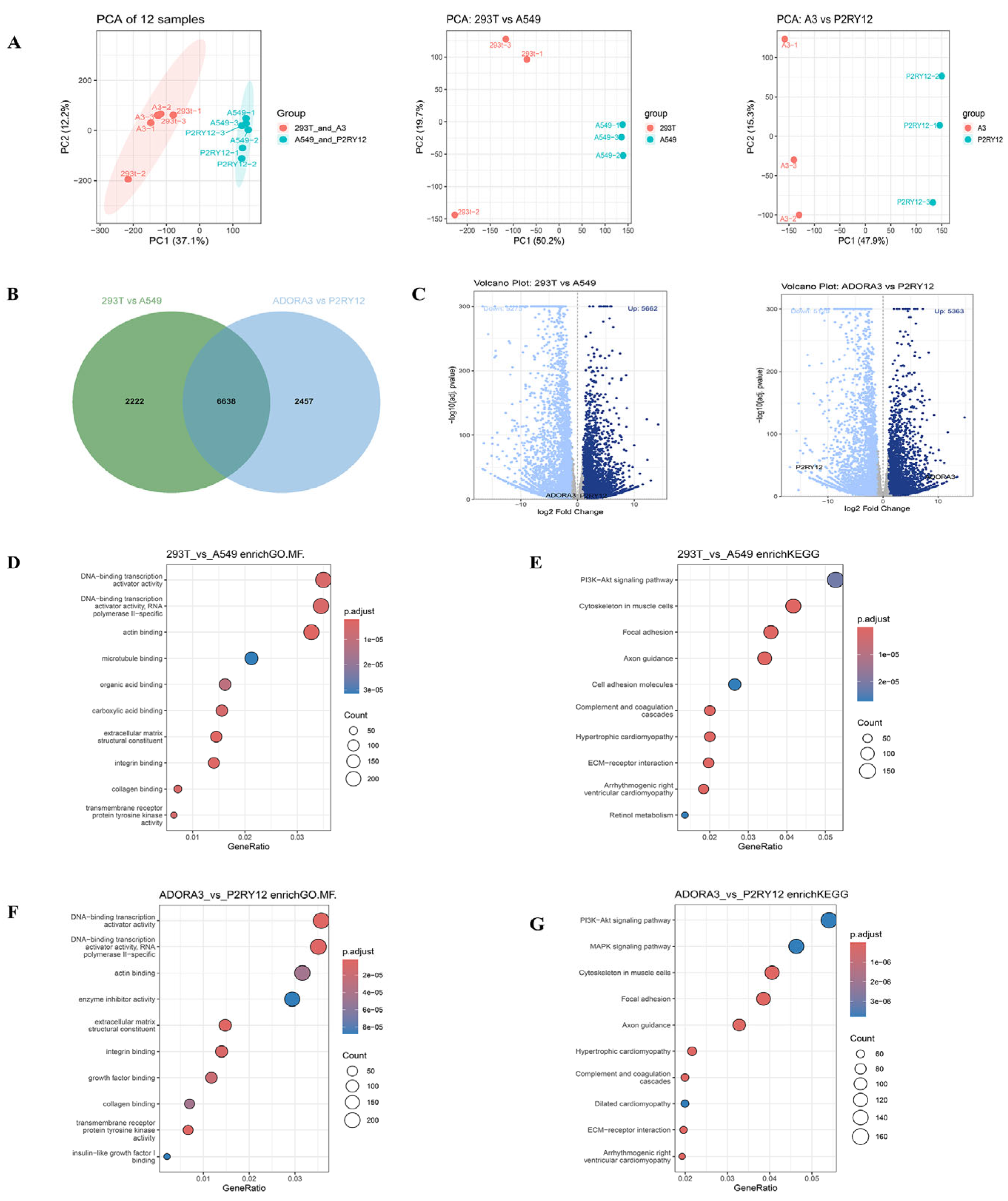 Ijms 27 00487 g003 Ijms 27 00487 g003