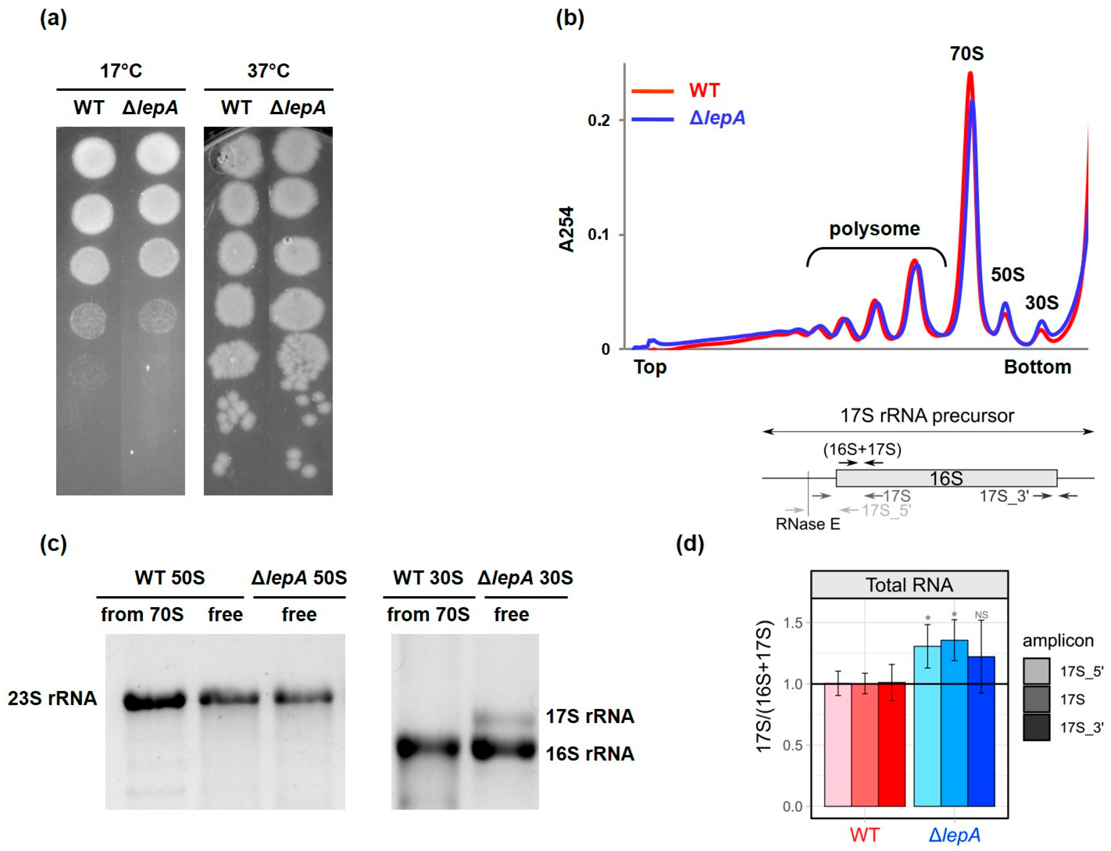 Ijms 27 00489 g001 Ijms 27 00489 g001