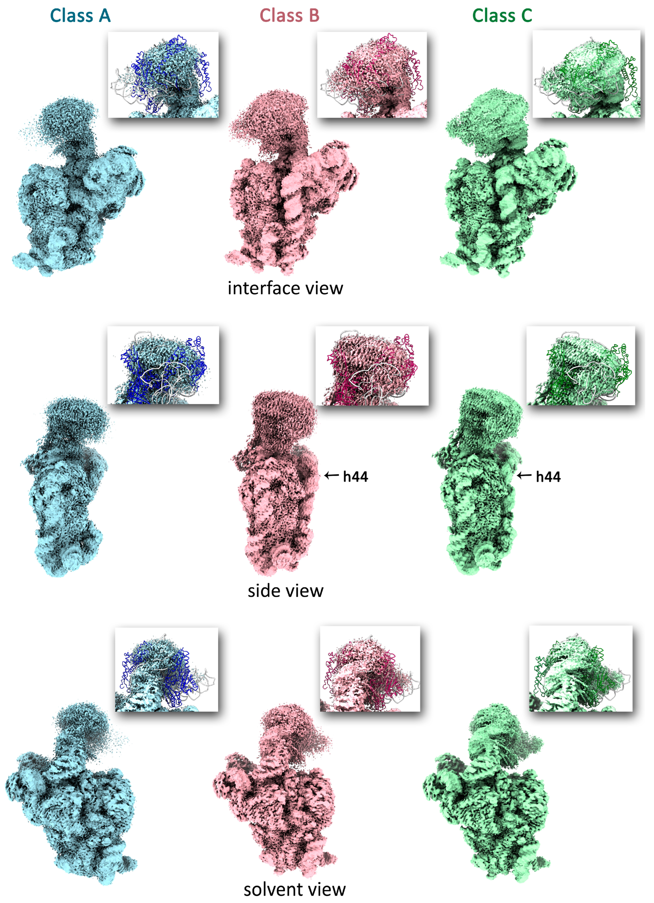 Ijms 27 00489 g002 Ijms 27 00489 g002