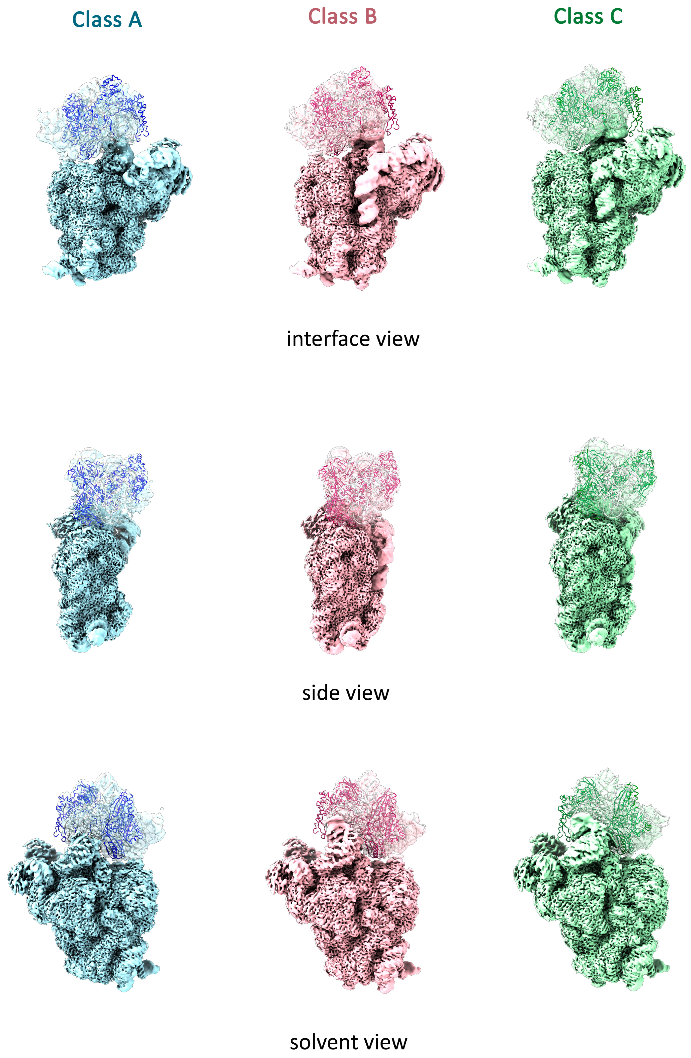 Ijms 27 00489 g003 Ijms 27 00489 g003