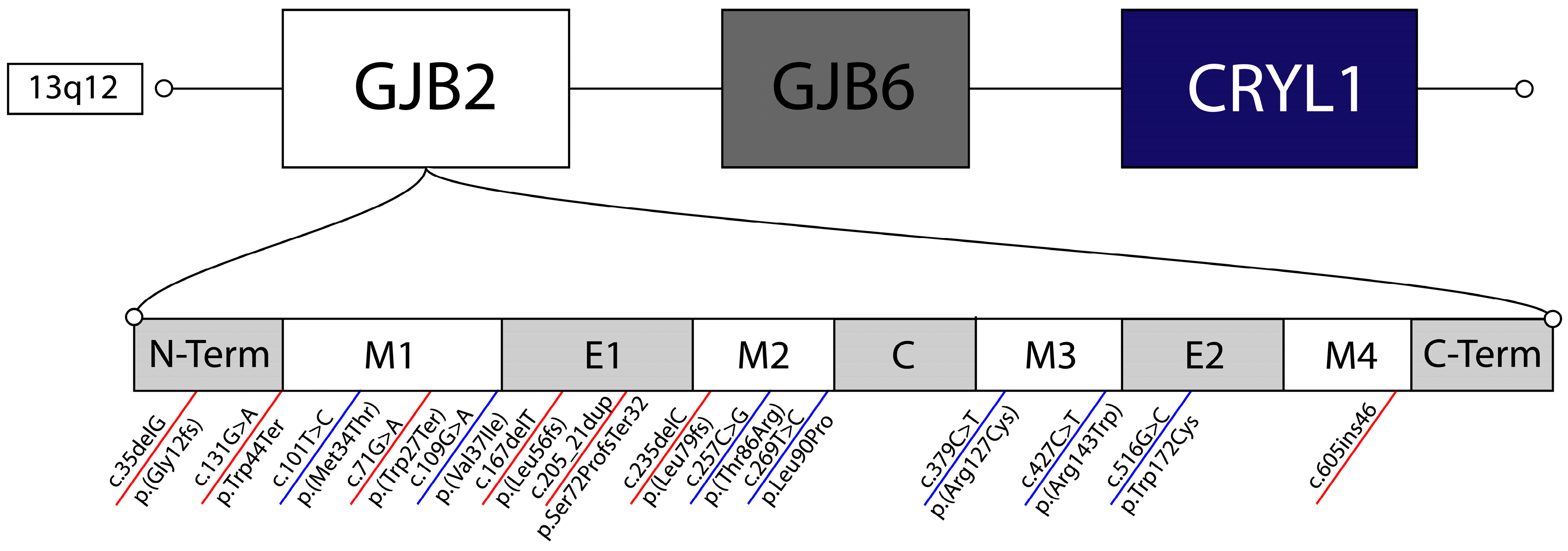 Ijms 27 00491 g001 Ijms 27 00491 g001