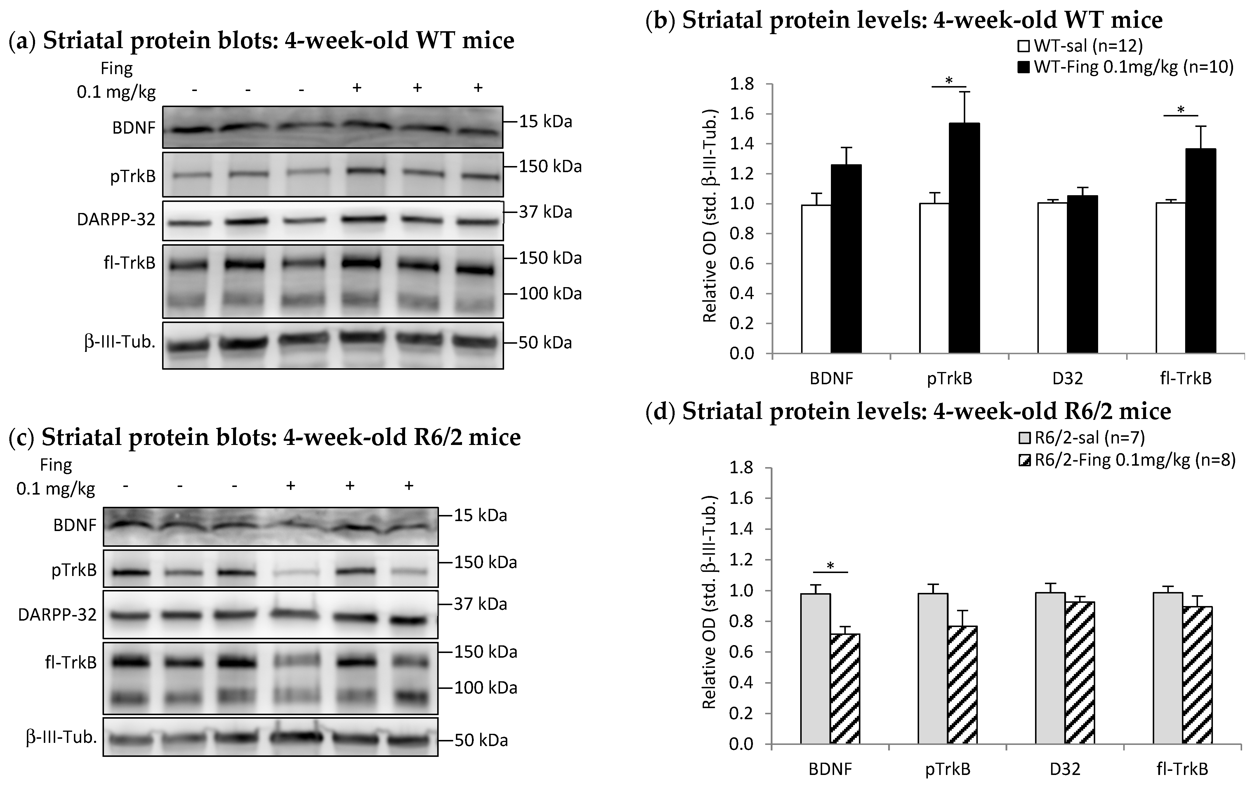 Ijms 27 00494 g003a Ijms 27 00494 g003a