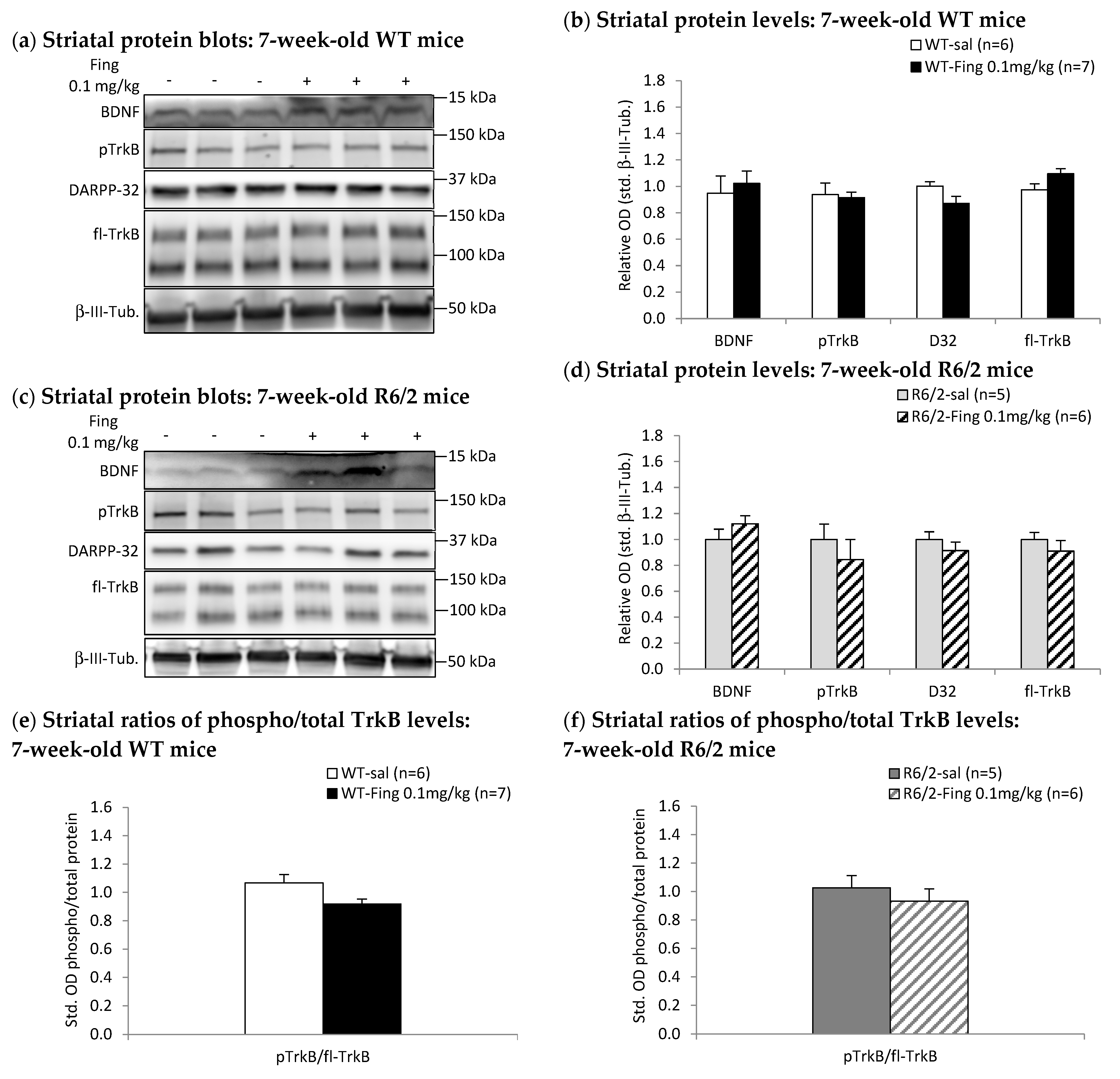 Ijms 27 00494 g004 Ijms 27 00494 g004