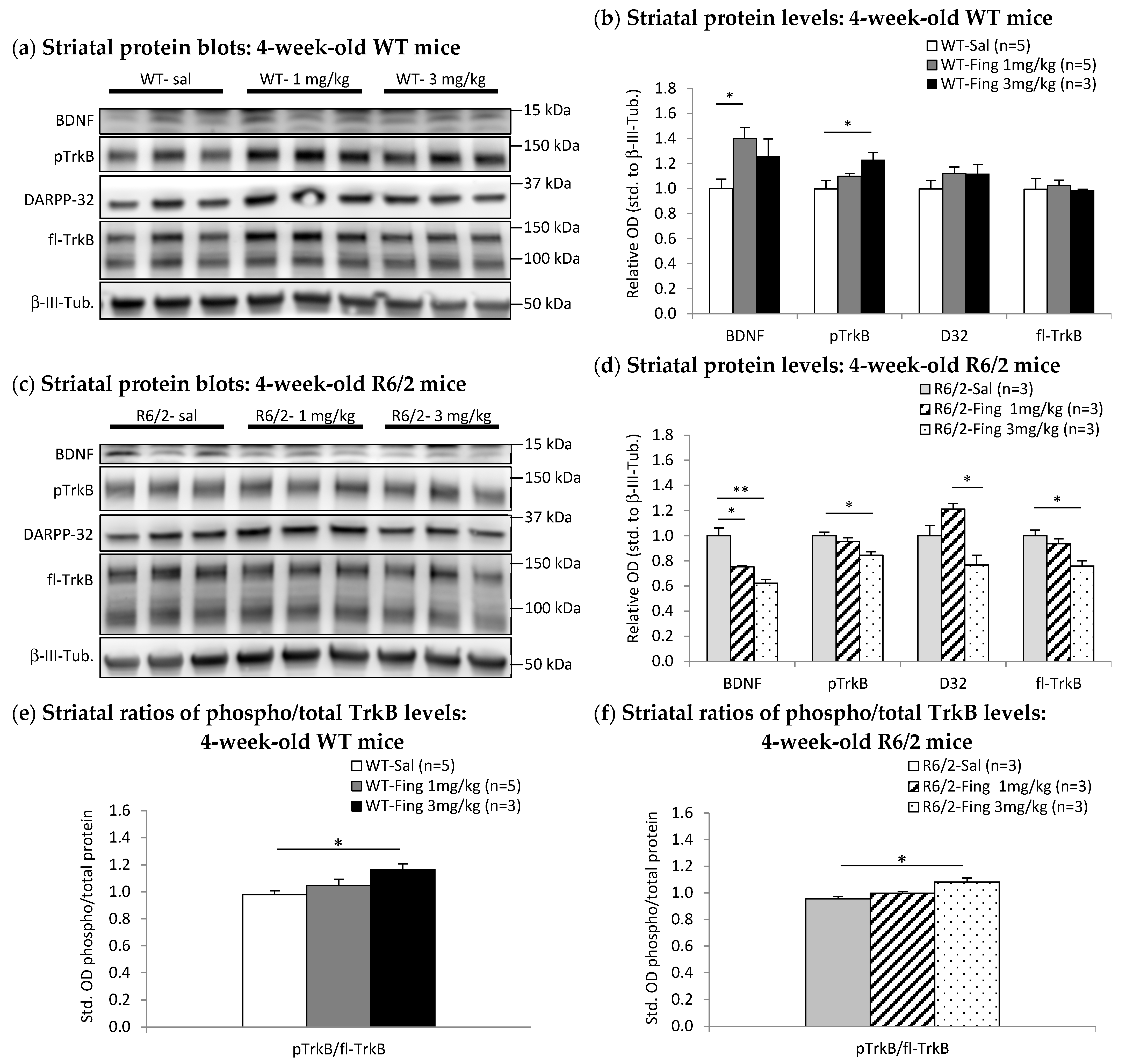Ijms 27 00494 g005 Ijms 27 00494 g005