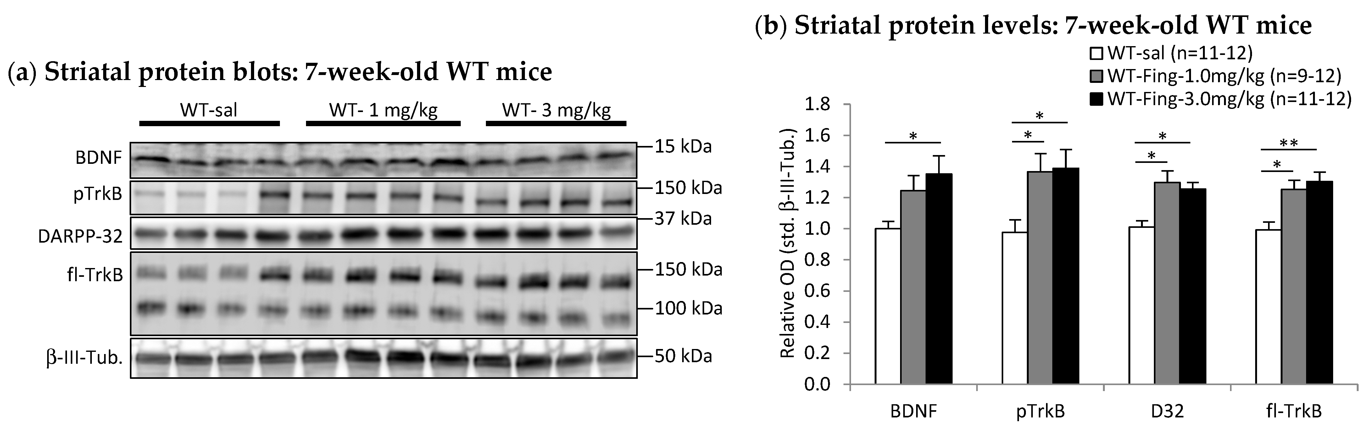 Ijms 27 00494 g006a Ijms 27 00494 g006a