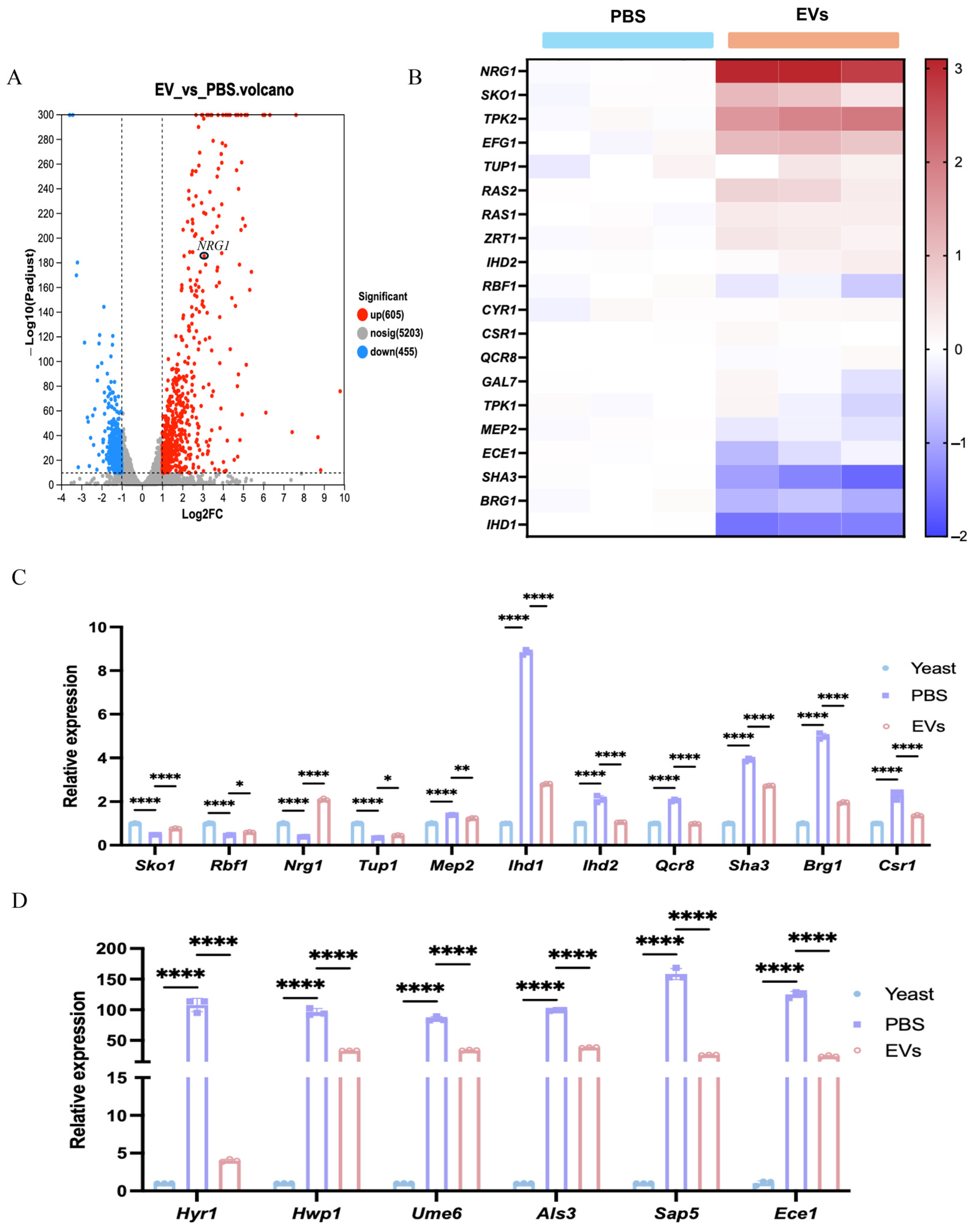 Ijms 27 00495 g002 Ijms 27 00495 g002