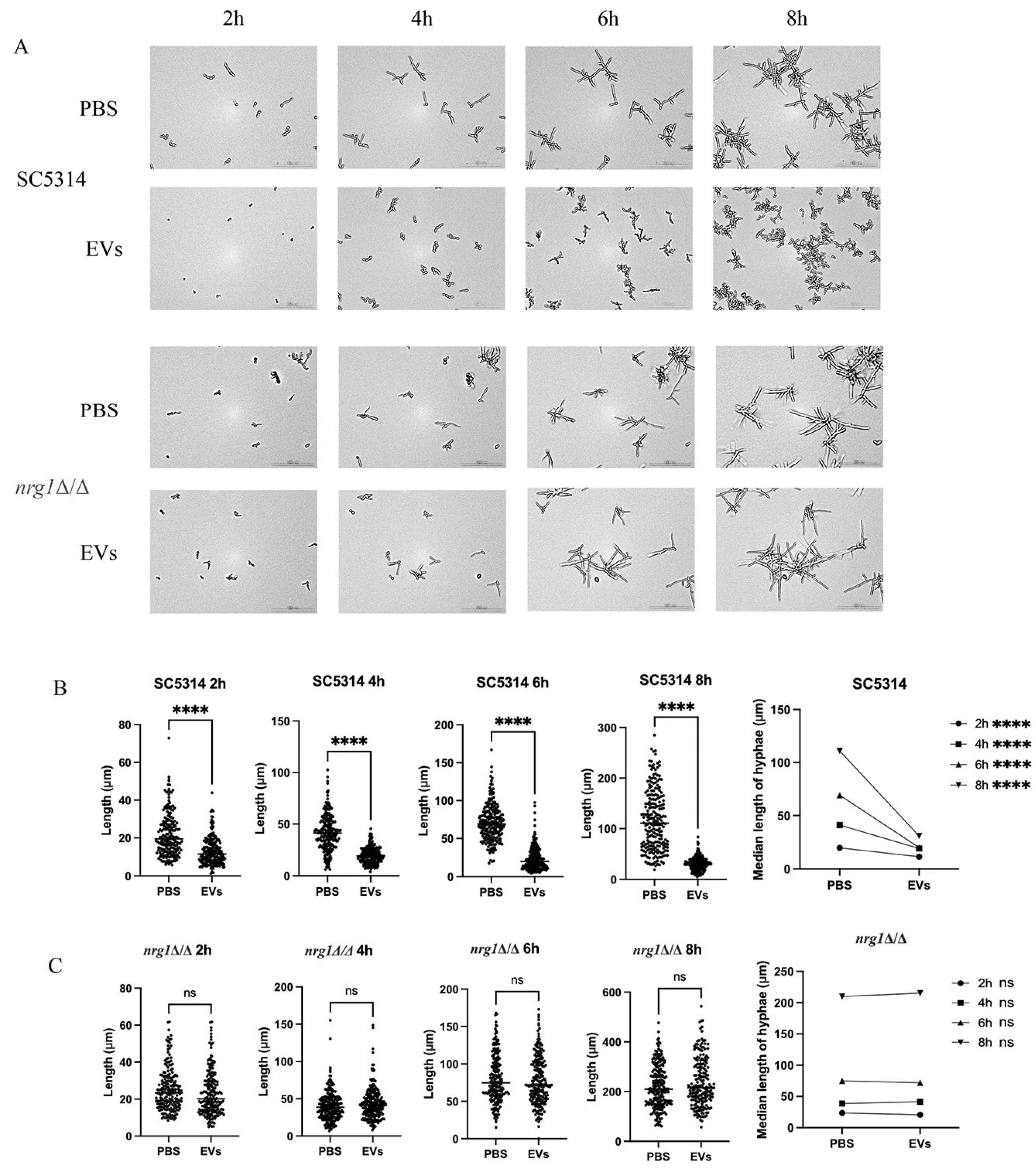 Ijms 27 00495 g003 Ijms 27 00495 g003