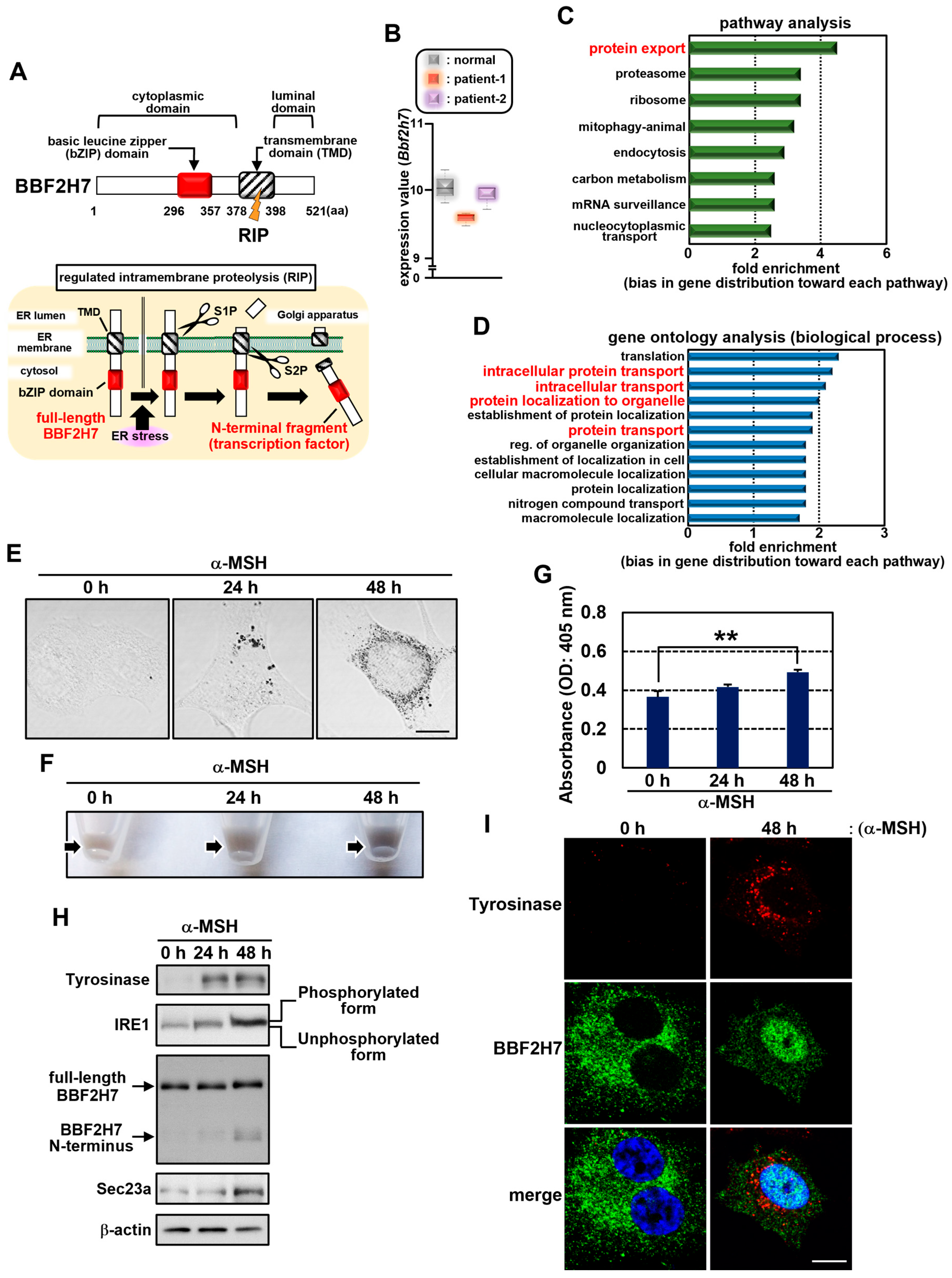 Ijms 27 00501 g001 Ijms 27 00501 g001