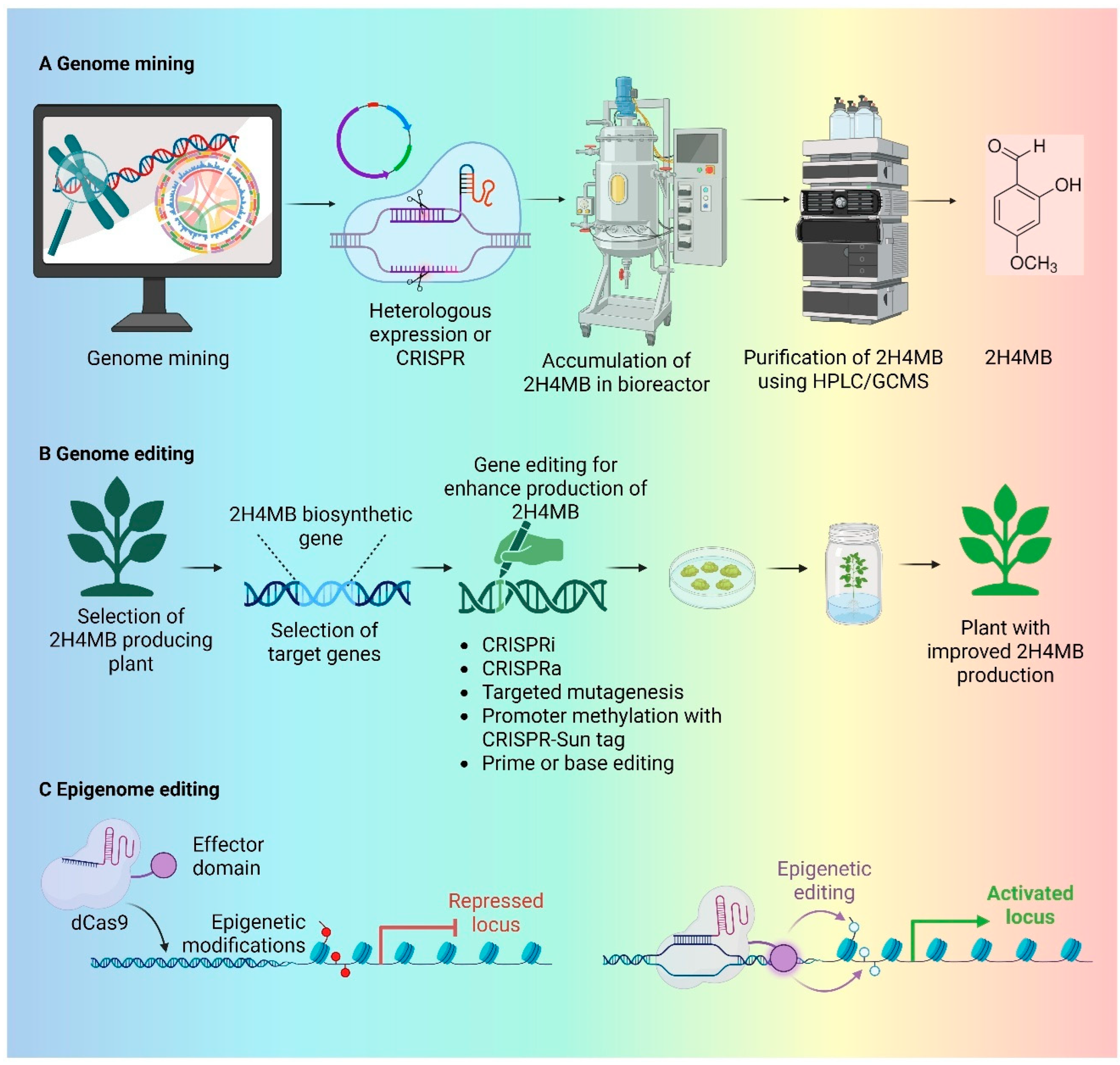 Ijms 27 00503 g002 Ijms 27 00503 g002