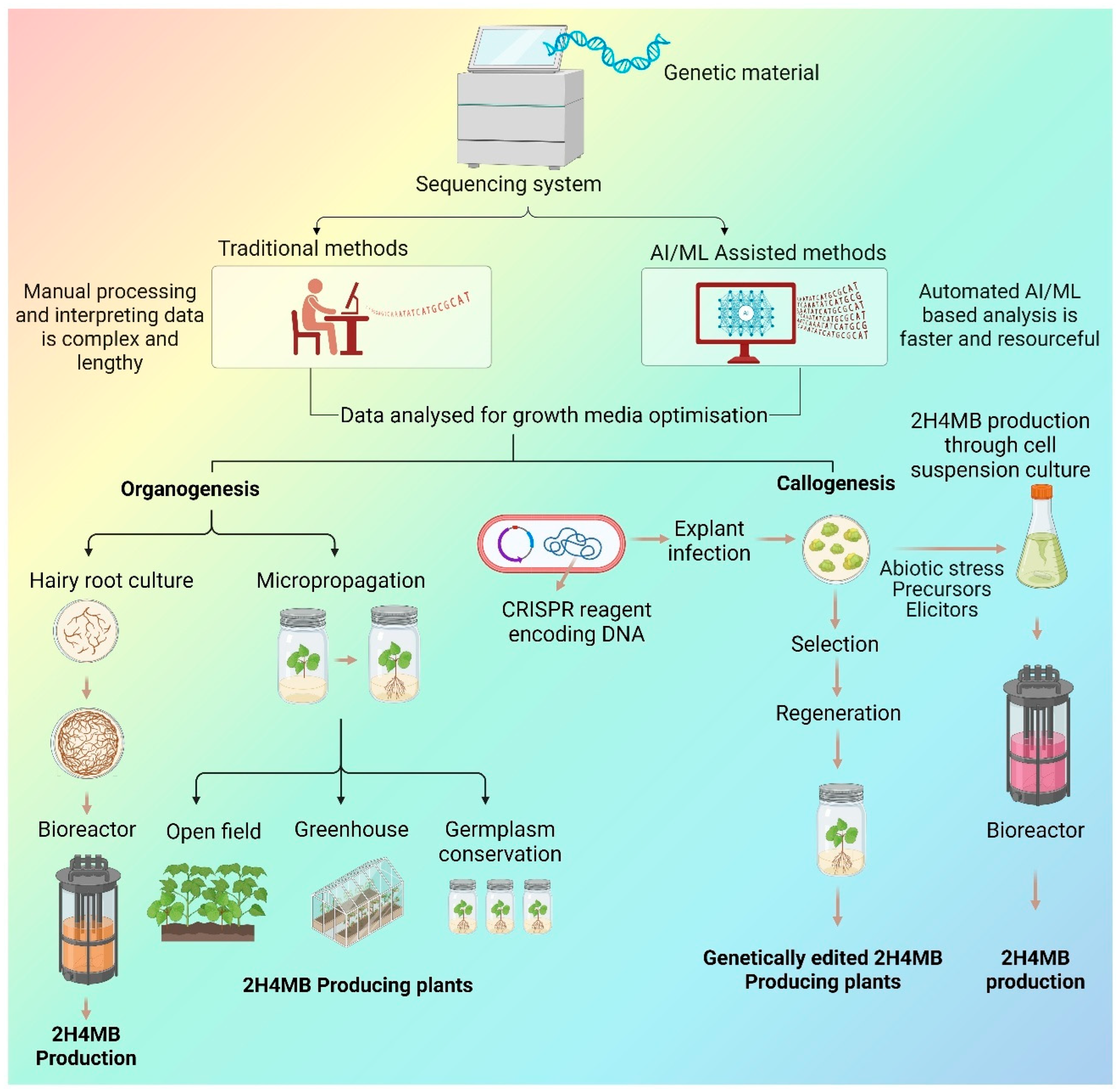 Ijms 27 00503 g003 Ijms 27 00503 g003