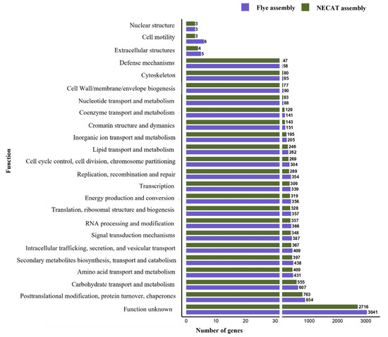 専用ページY149 Hybrid Genome Assembly and Annotation of the Basidiomycete Fungus