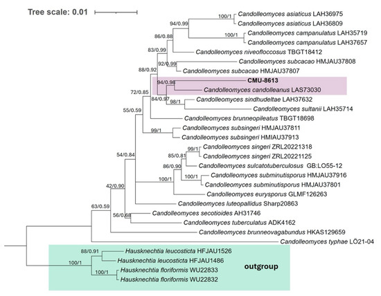 専用ページY149 Kawasaki ZX-7R & ZX-9R Ninjas (94-04) Haynes Repair Manual