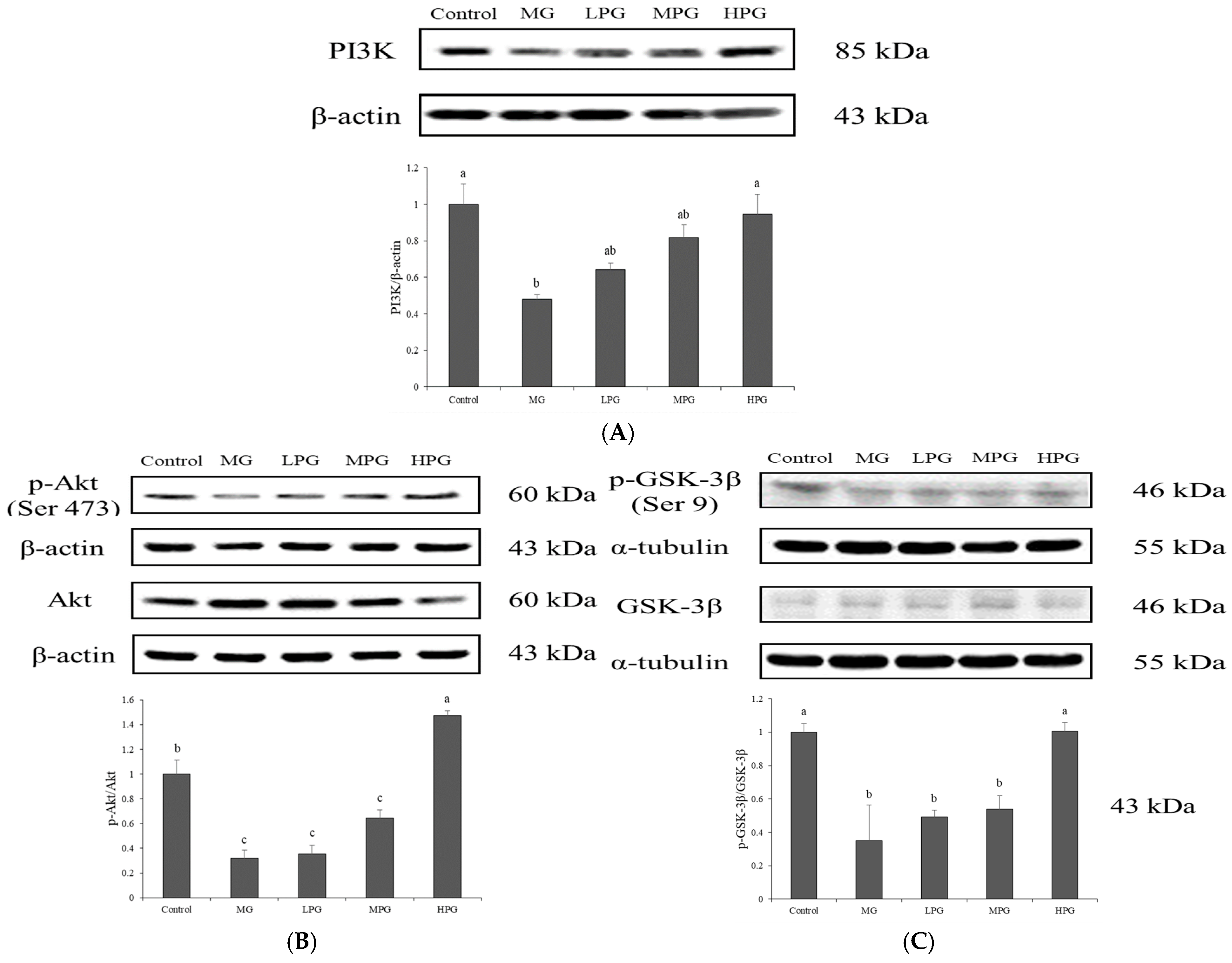 Ijms 27 00511 g005 Ijms 27 00511 g005