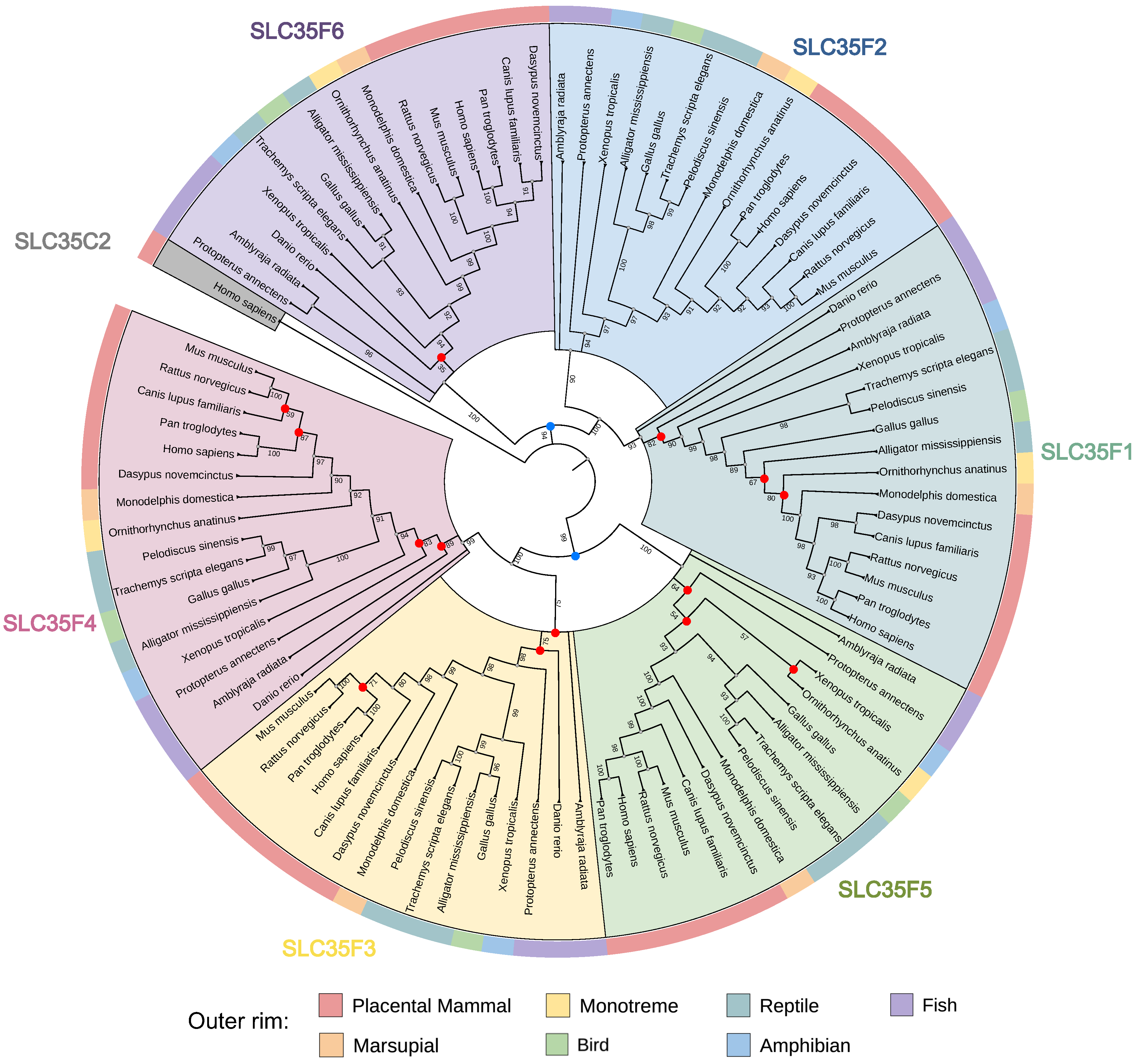 Ijms 27 00512 g001 Ijms 27 00512 g001