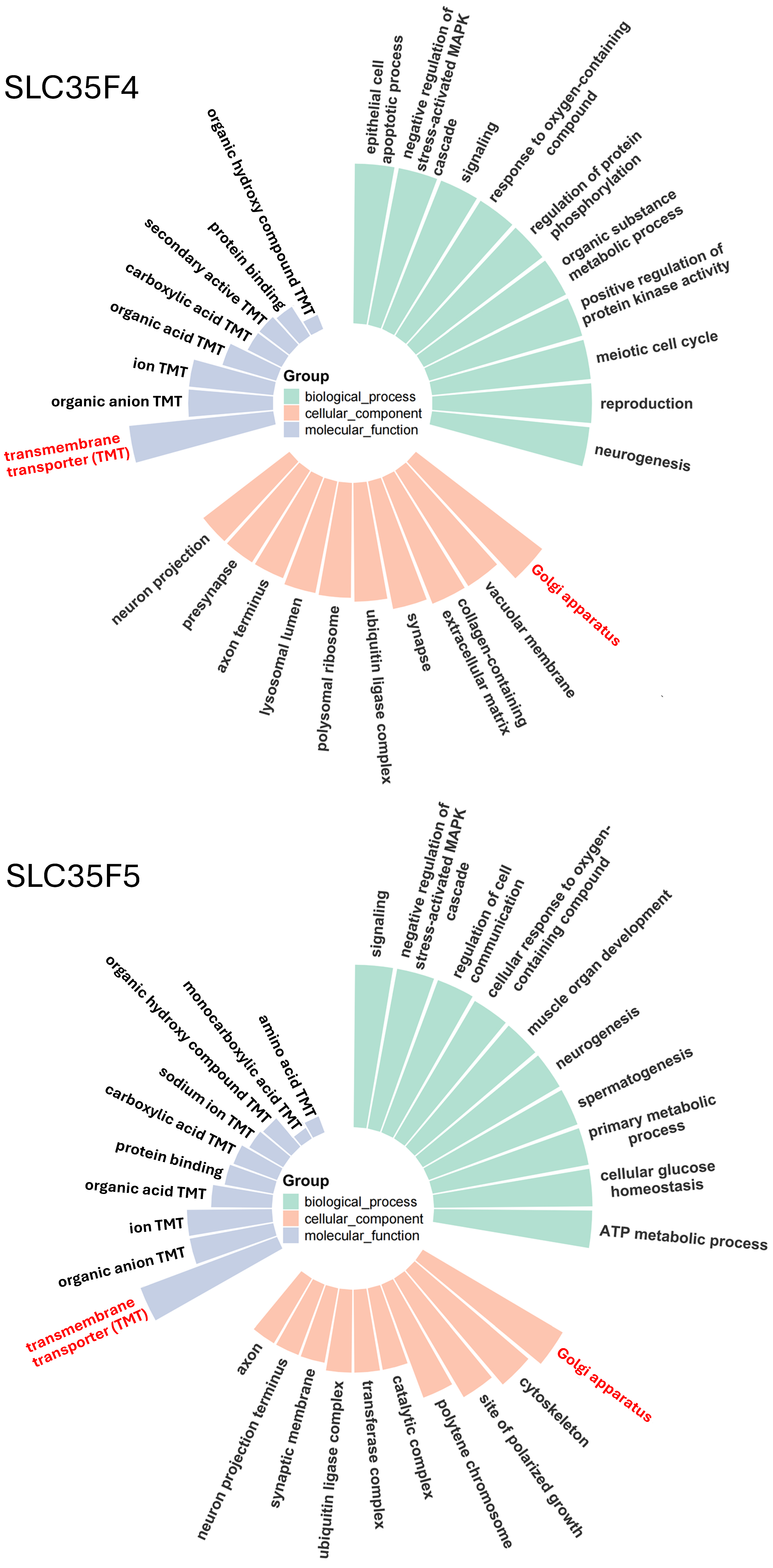 Ijms 27 00512 g003 Ijms 27 00512 g003