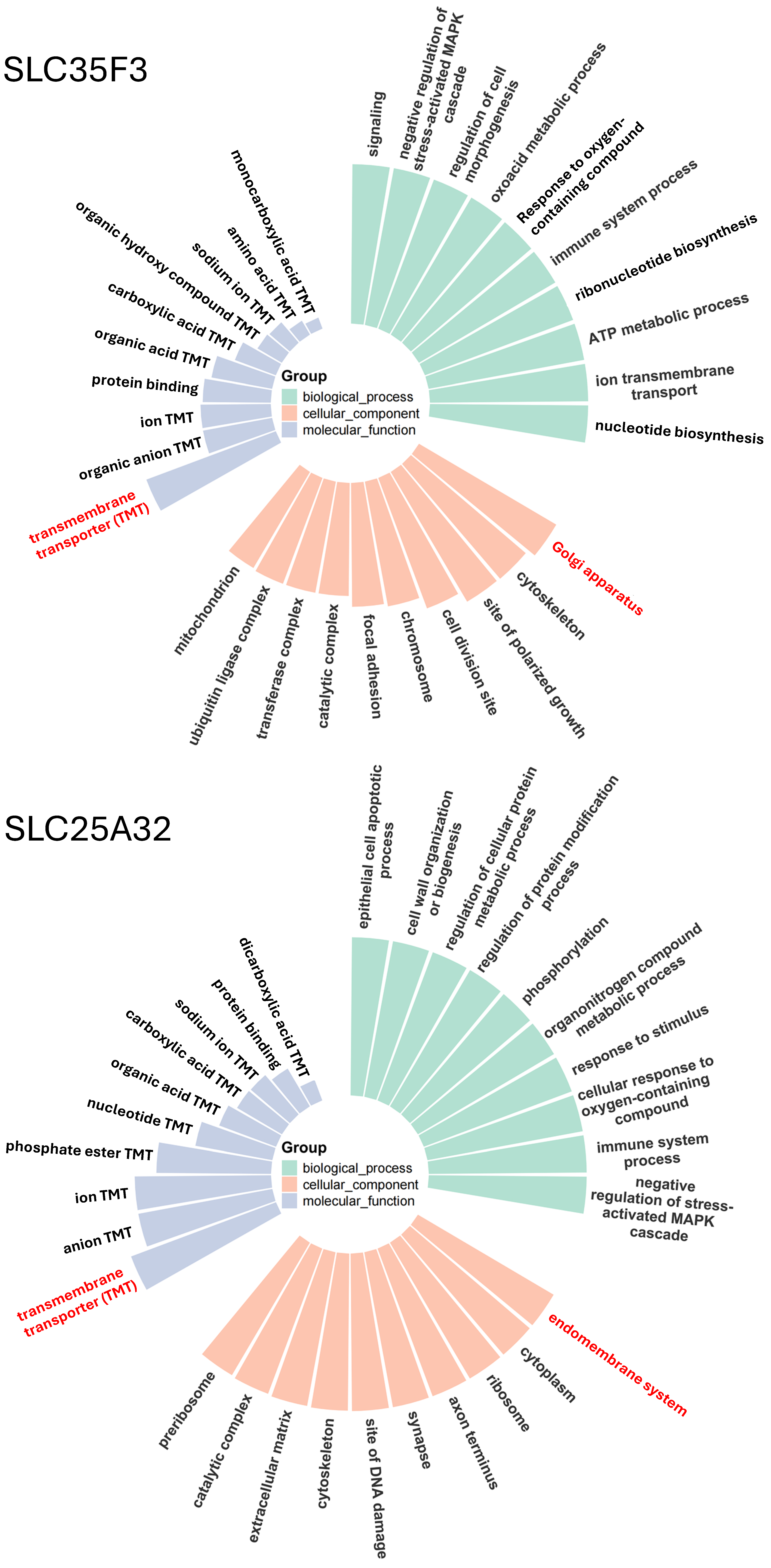 Ijms 27 00512 g004 Ijms 27 00512 g004