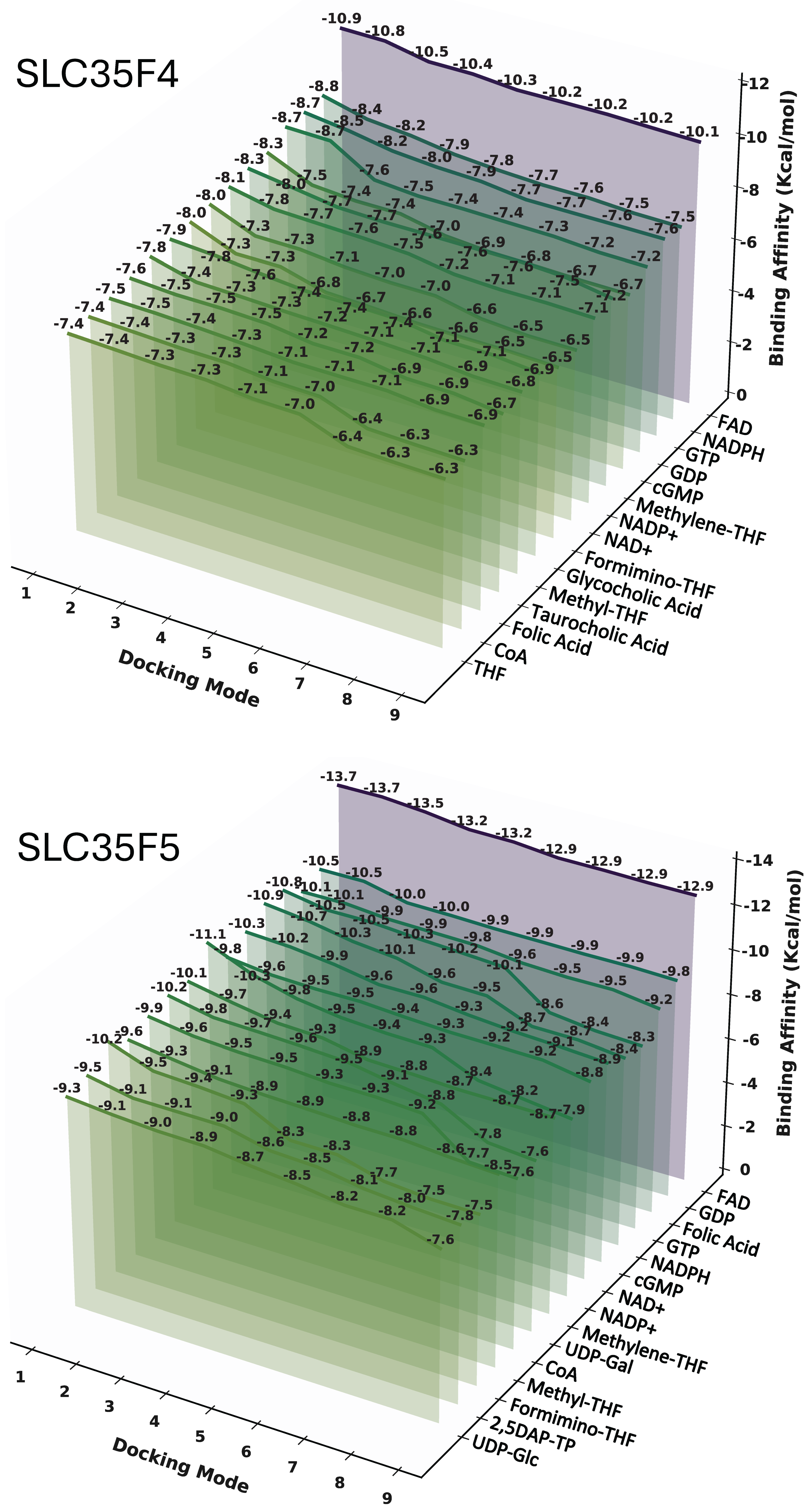 Ijms 27 00512 g005 Ijms 27 00512 g005