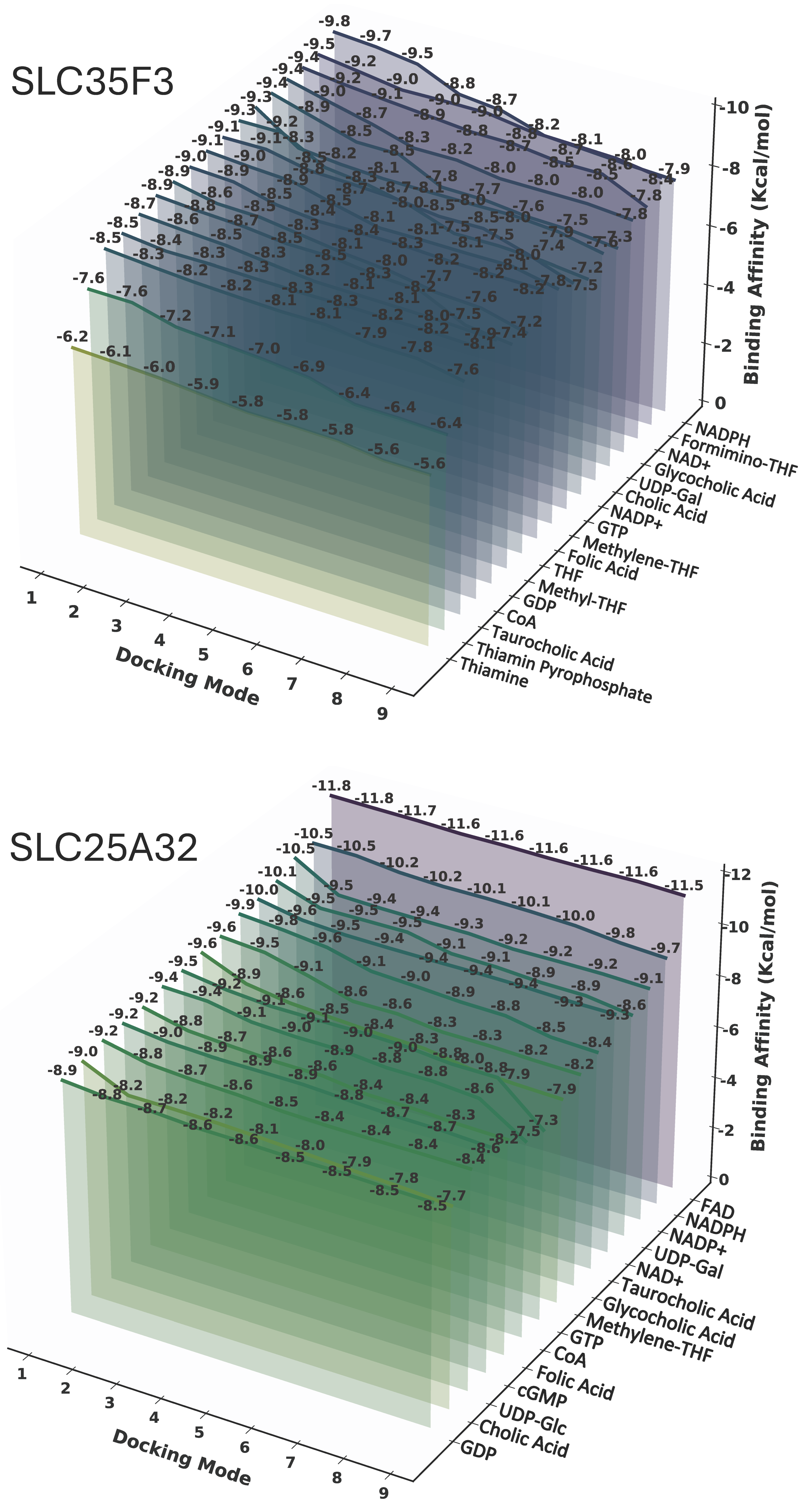 Ijms 27 00512 g006 Ijms 27 00512 g006