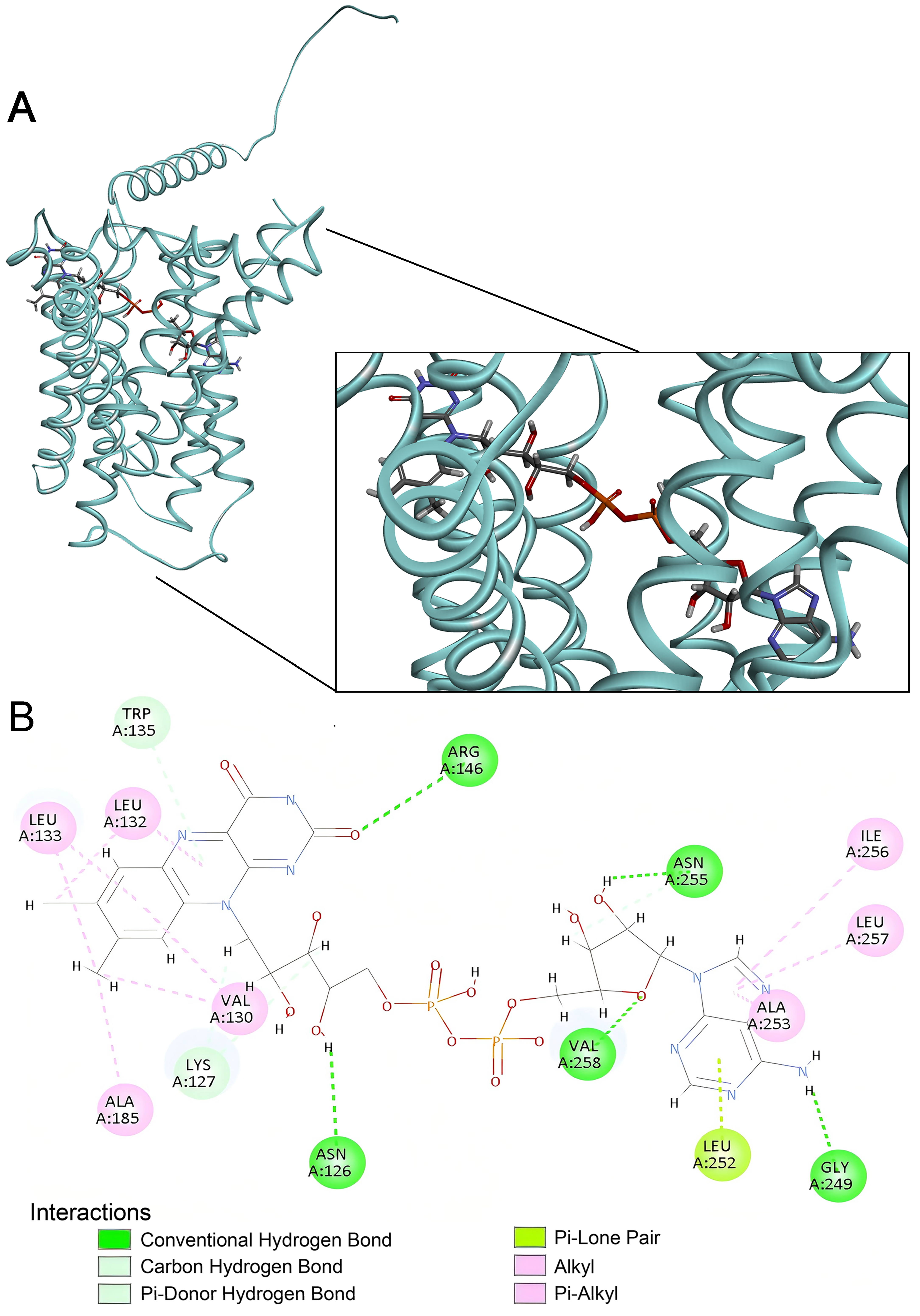 Ijms 27 00512 g008 Ijms 27 00512 g008