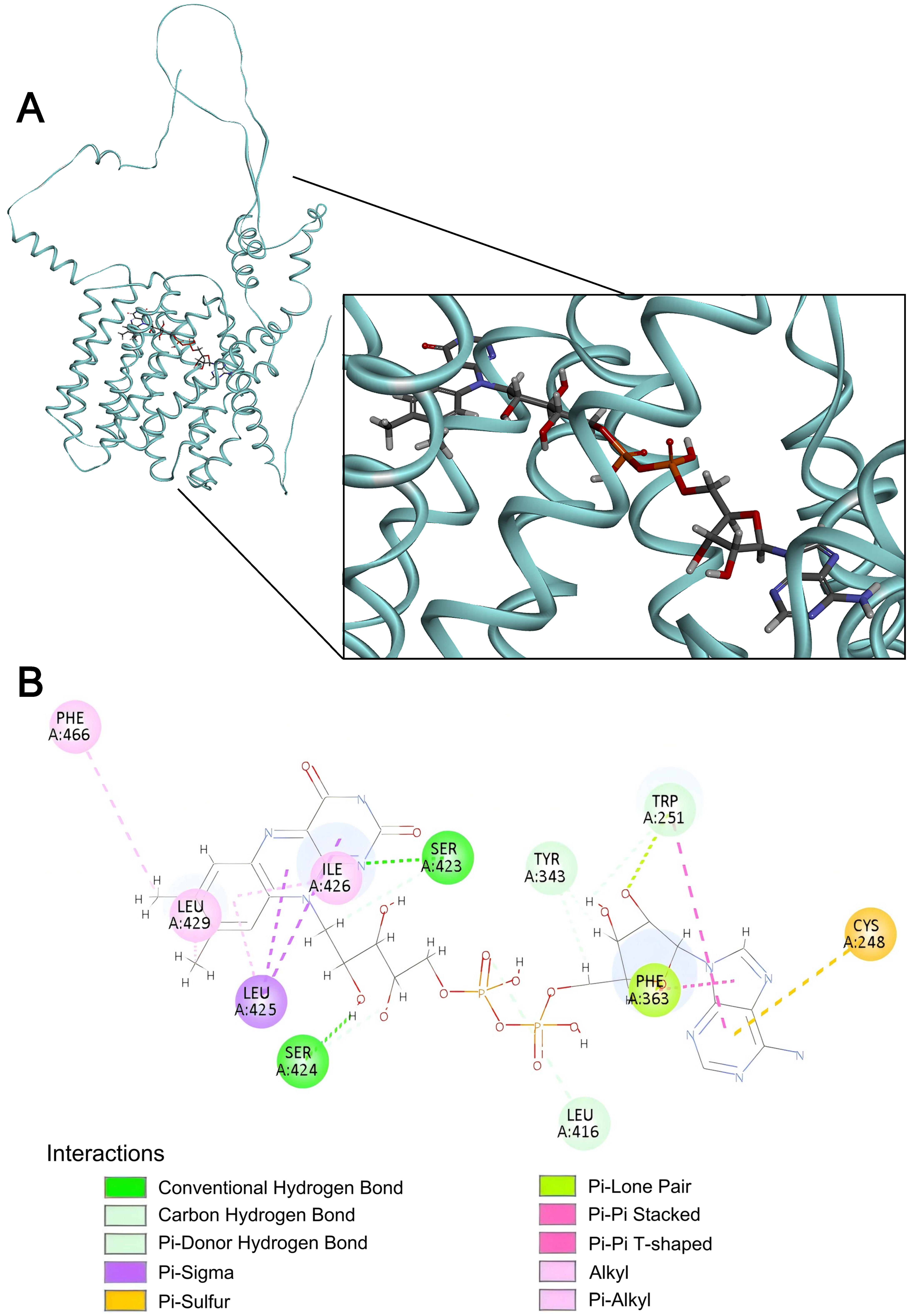 Ijms 27 00512 g009 Ijms 27 00512 g009