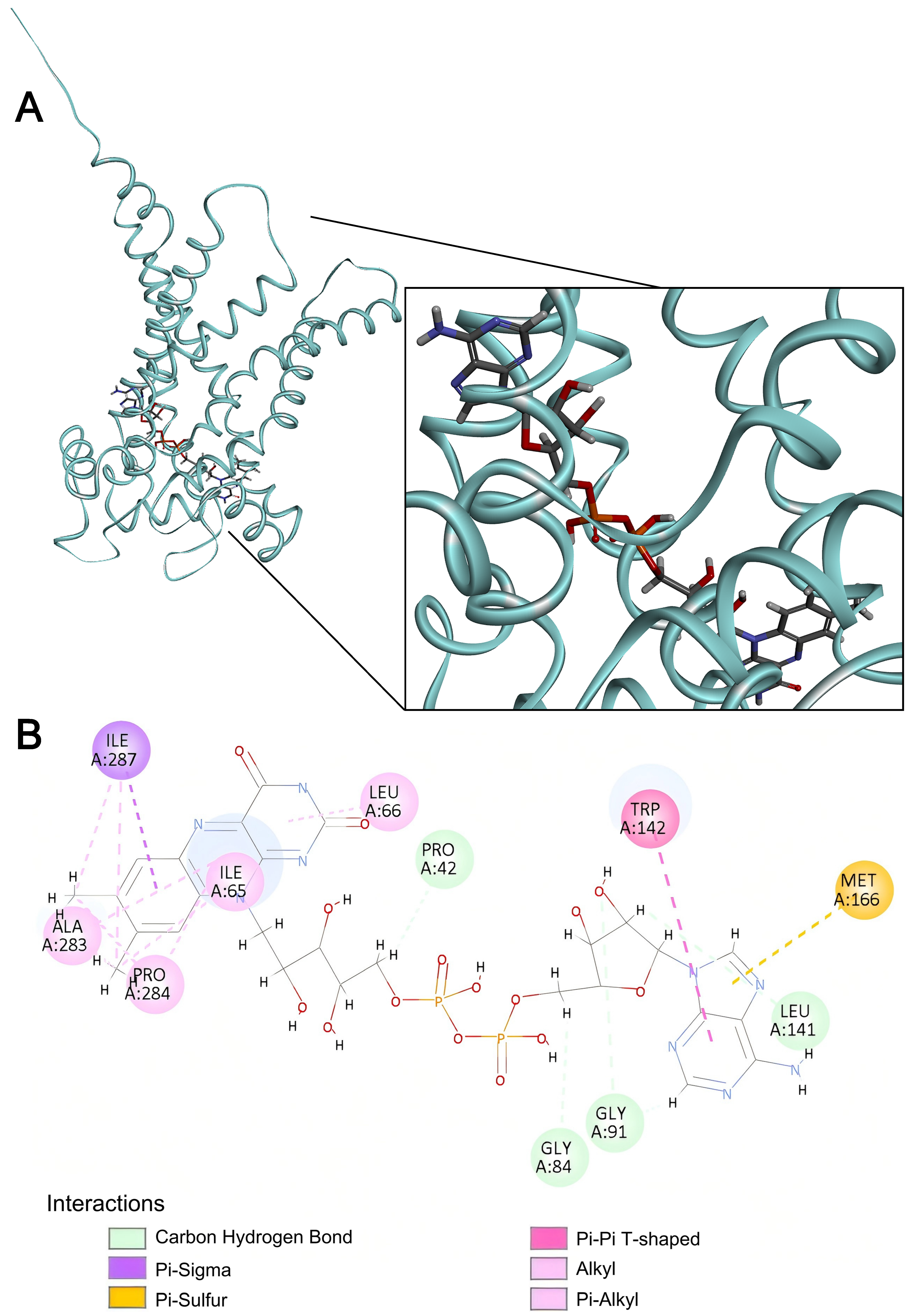 Ijms 27 00512 g010 Ijms 27 00512 g010