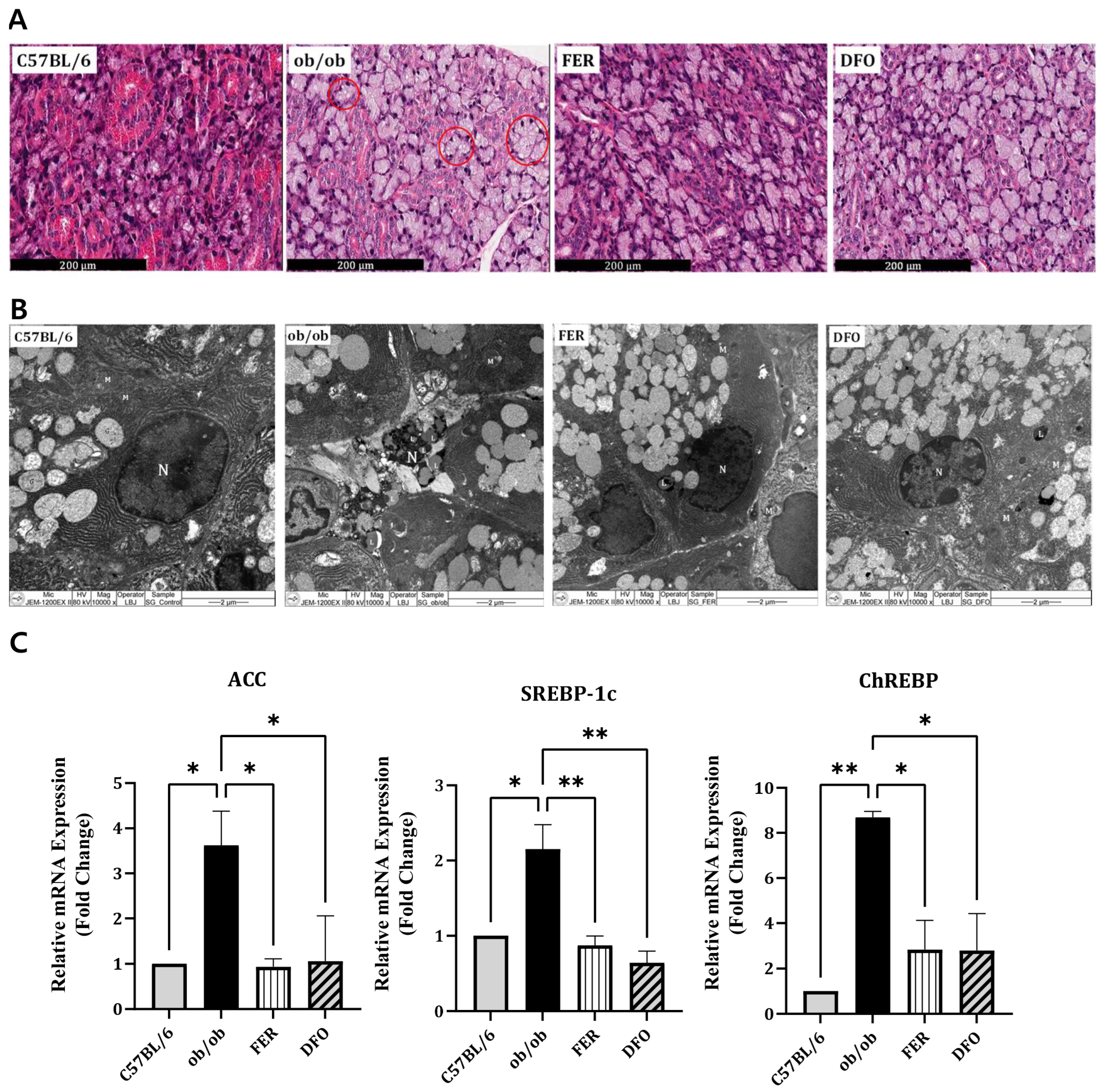 Ijms 27 00514 g002 Ijms 27 00514 g002