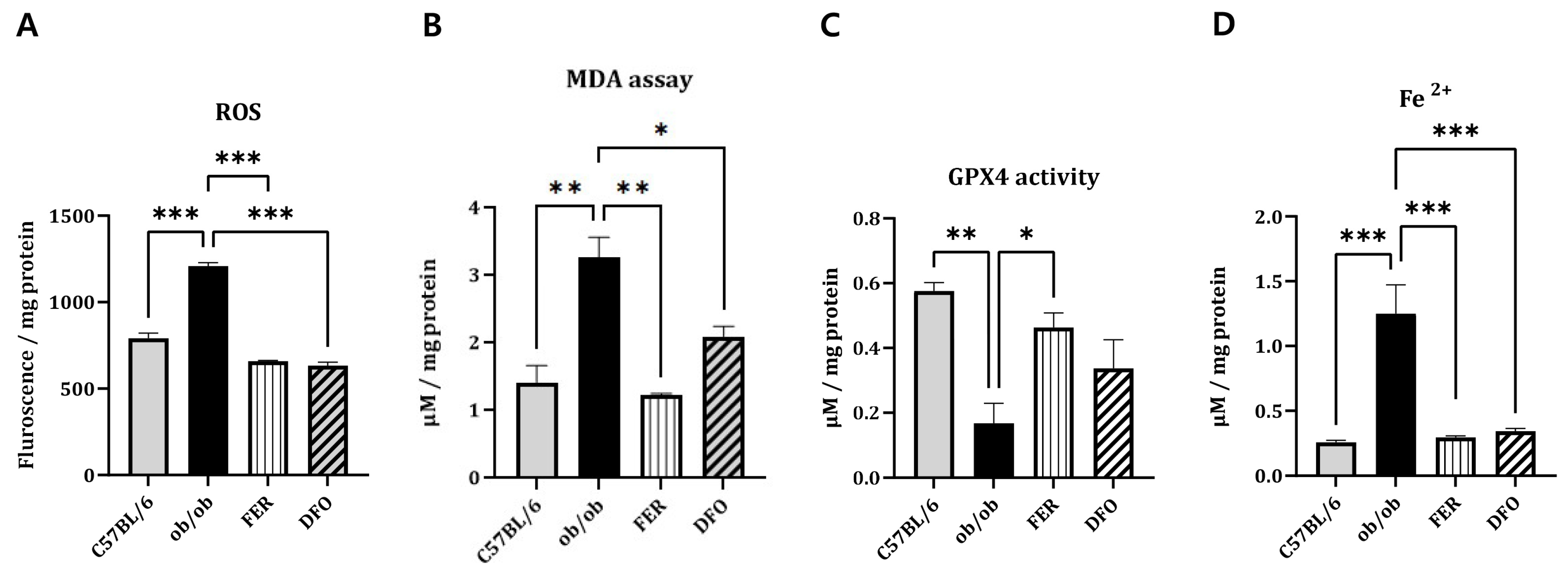 Ijms 27 00514 g003 Ijms 27 00514 g003