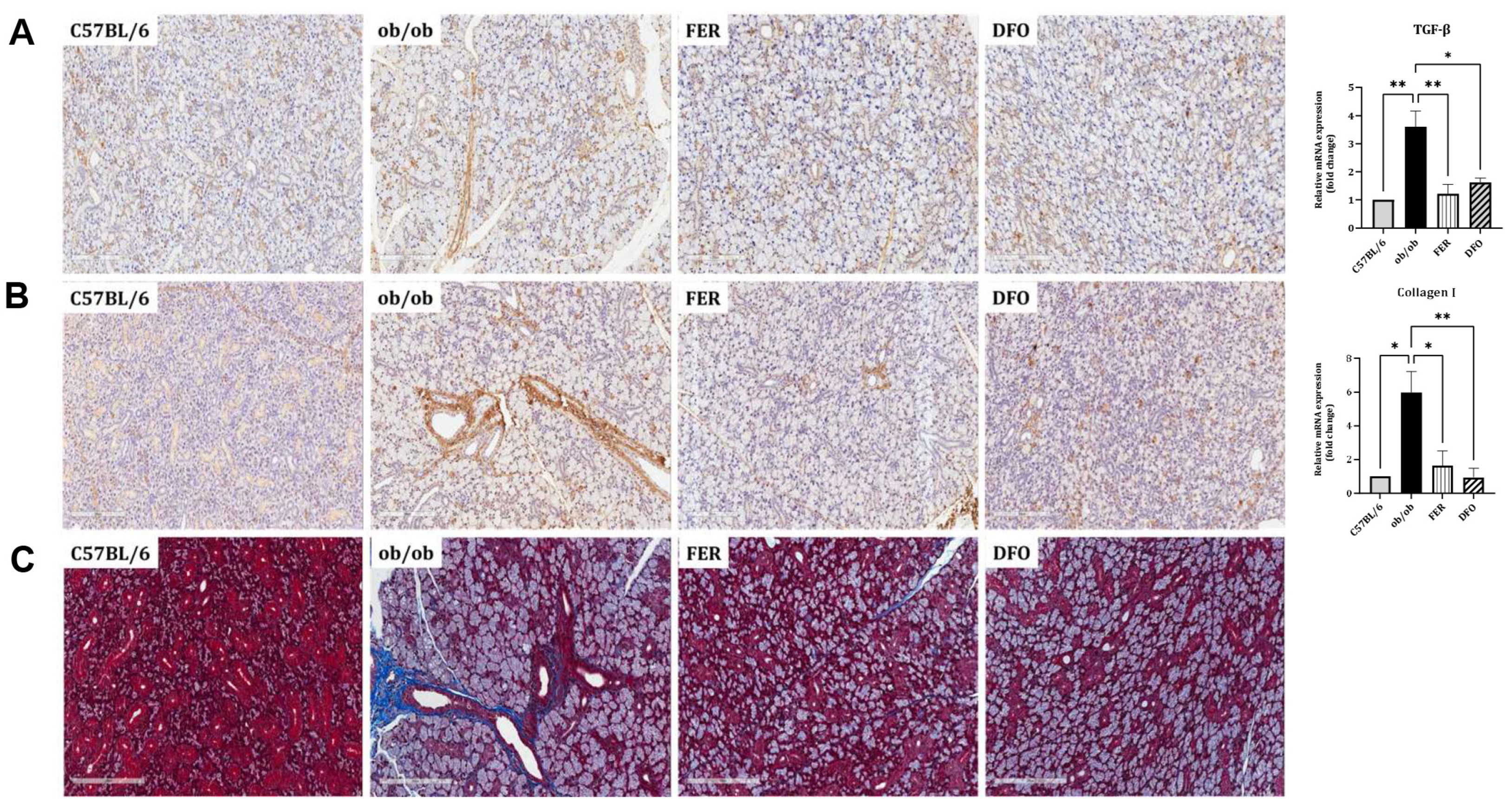 Ijms 27 00514 g004 Ijms 27 00514 g004