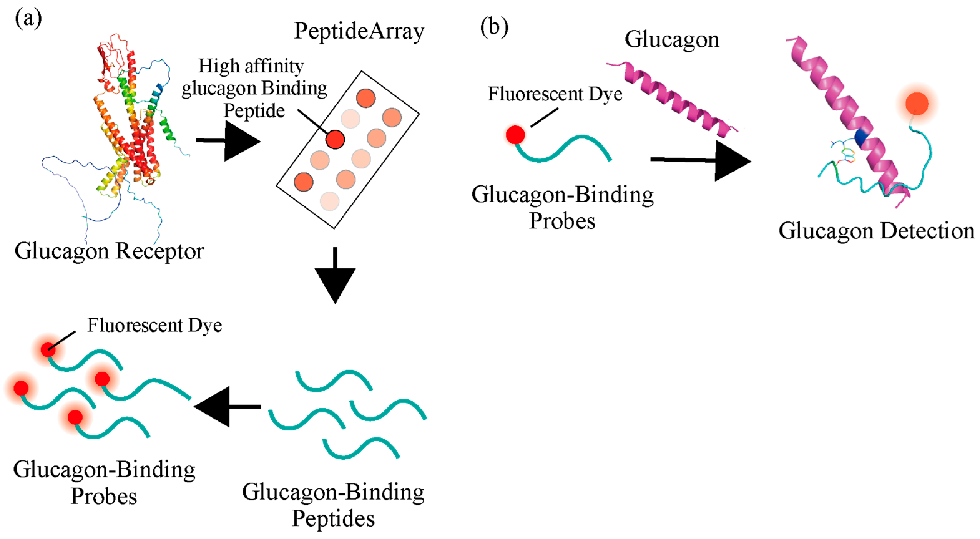 Ijms 27 00515 g001 Ijms 27 00515 g001
