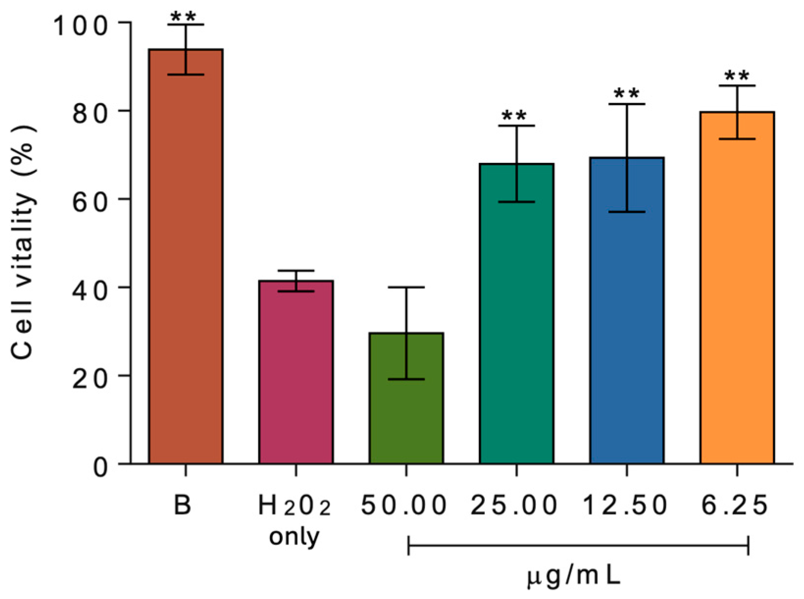 Ijms 27 00516 g008 Ijms 27 00516 g008
